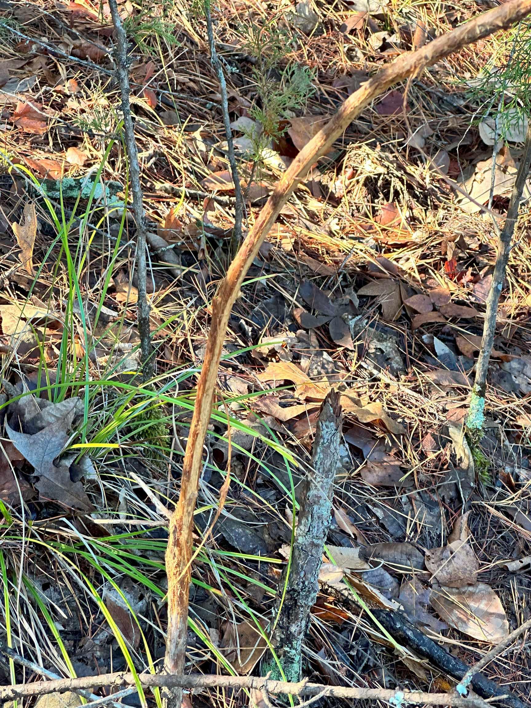 0 Peaceful Valley  Dover, AR