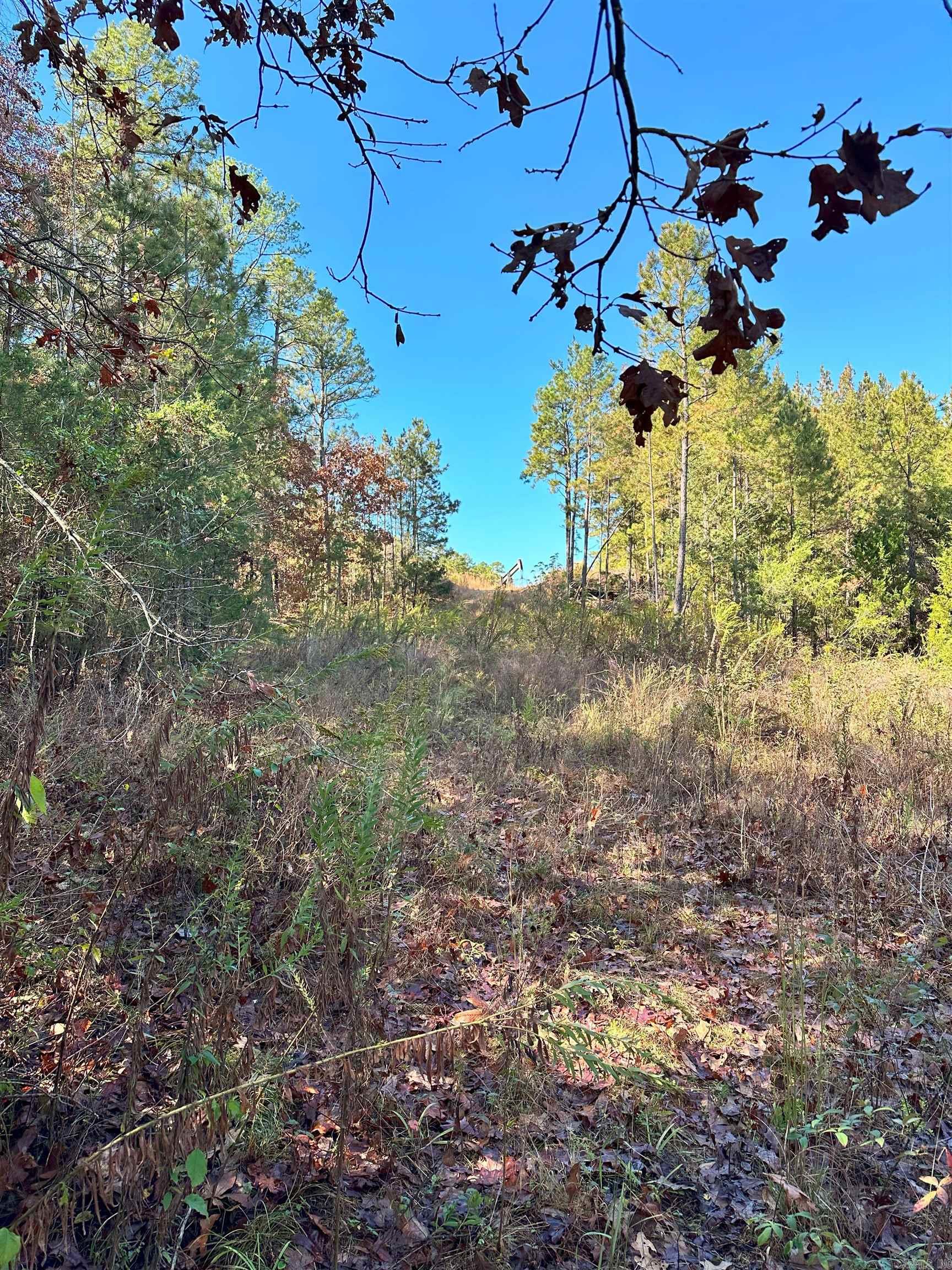 0 Peaceful Valley  Dover, AR