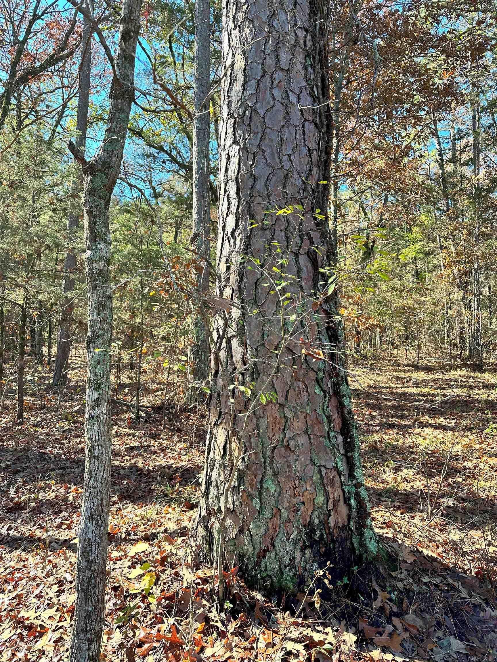 0 Peaceful Valley  Dover, AR
