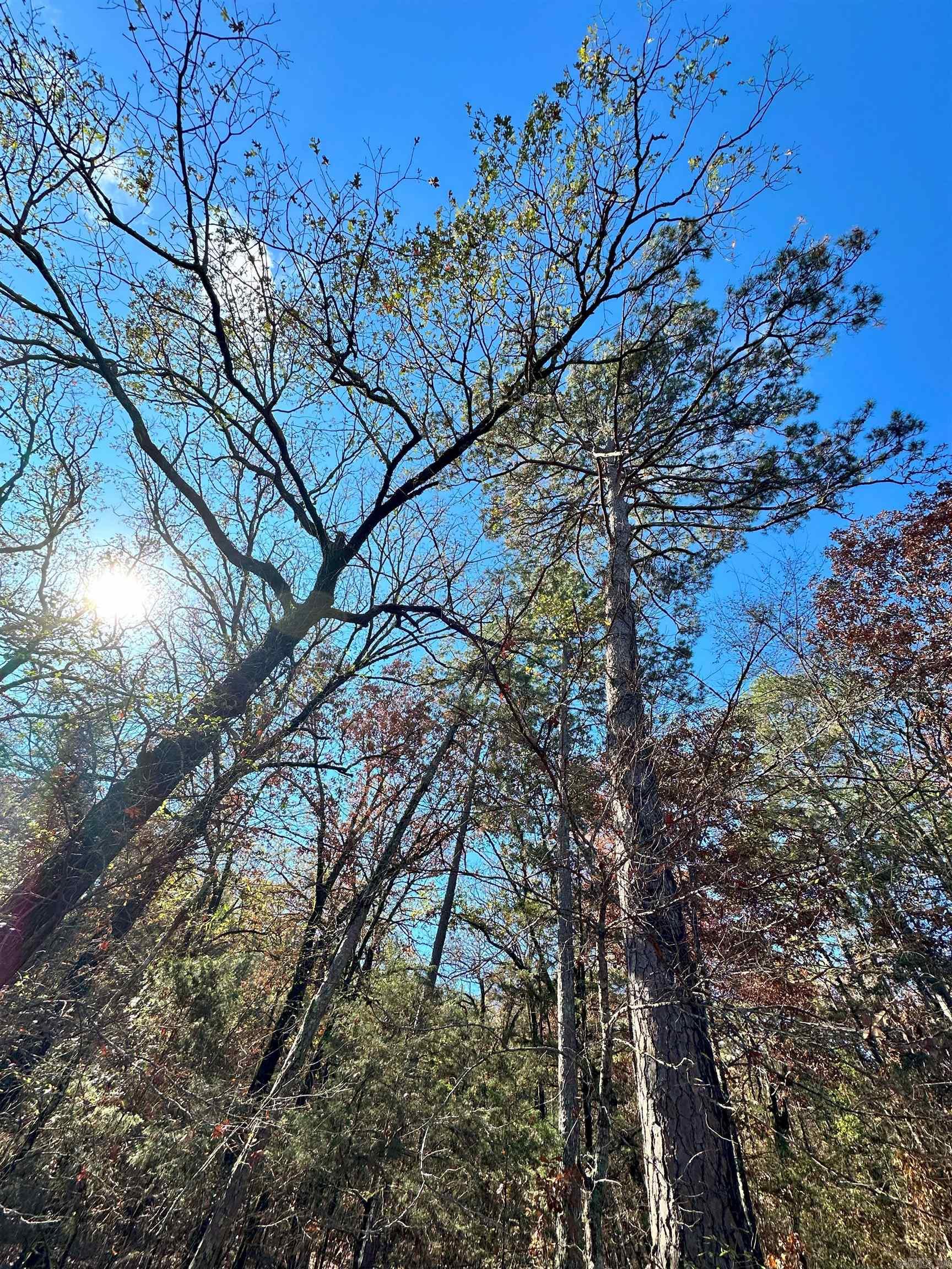 0 Peaceful Valley  Dover, AR