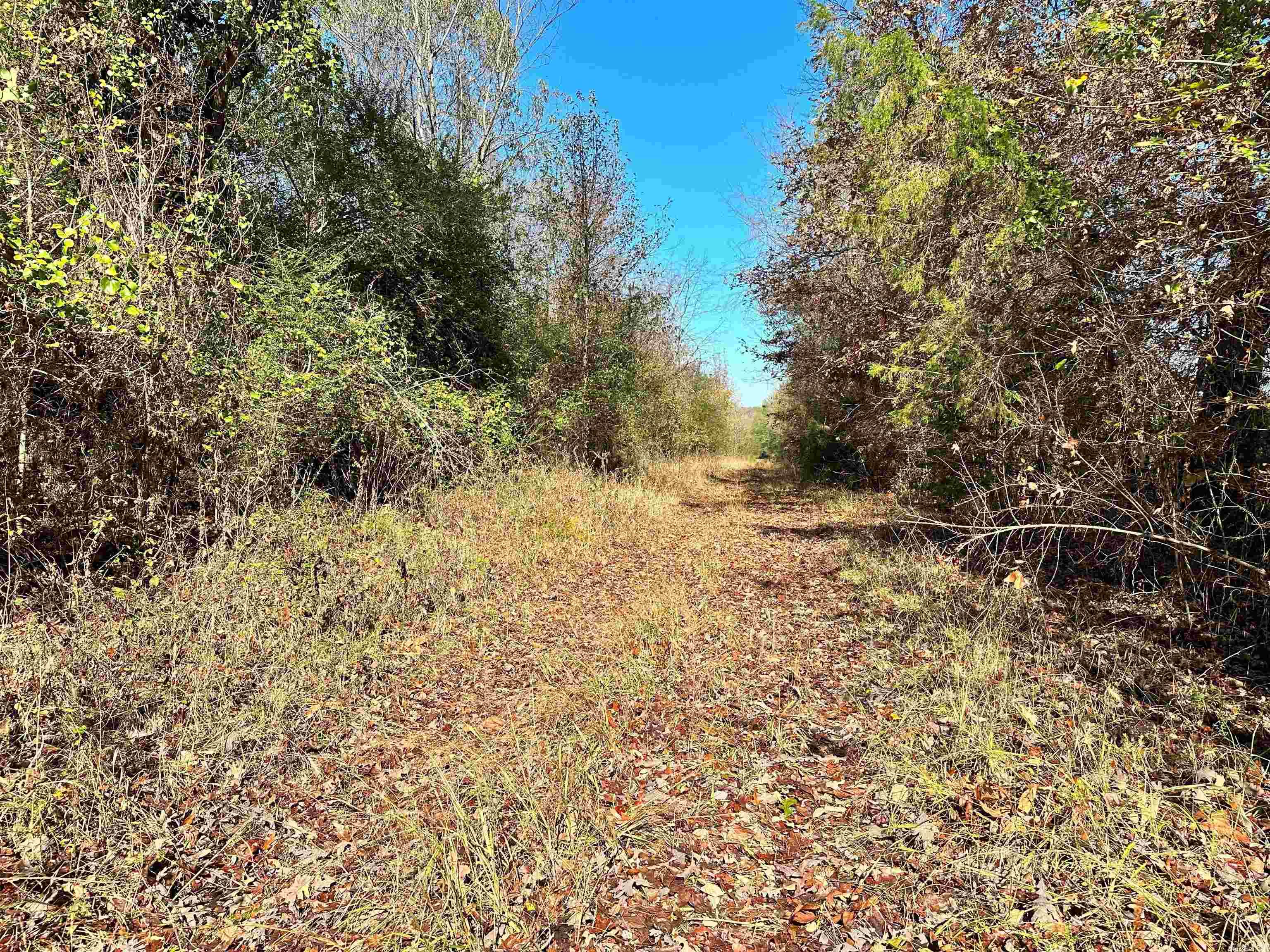 0 Peaceful Valley  Dover, AR