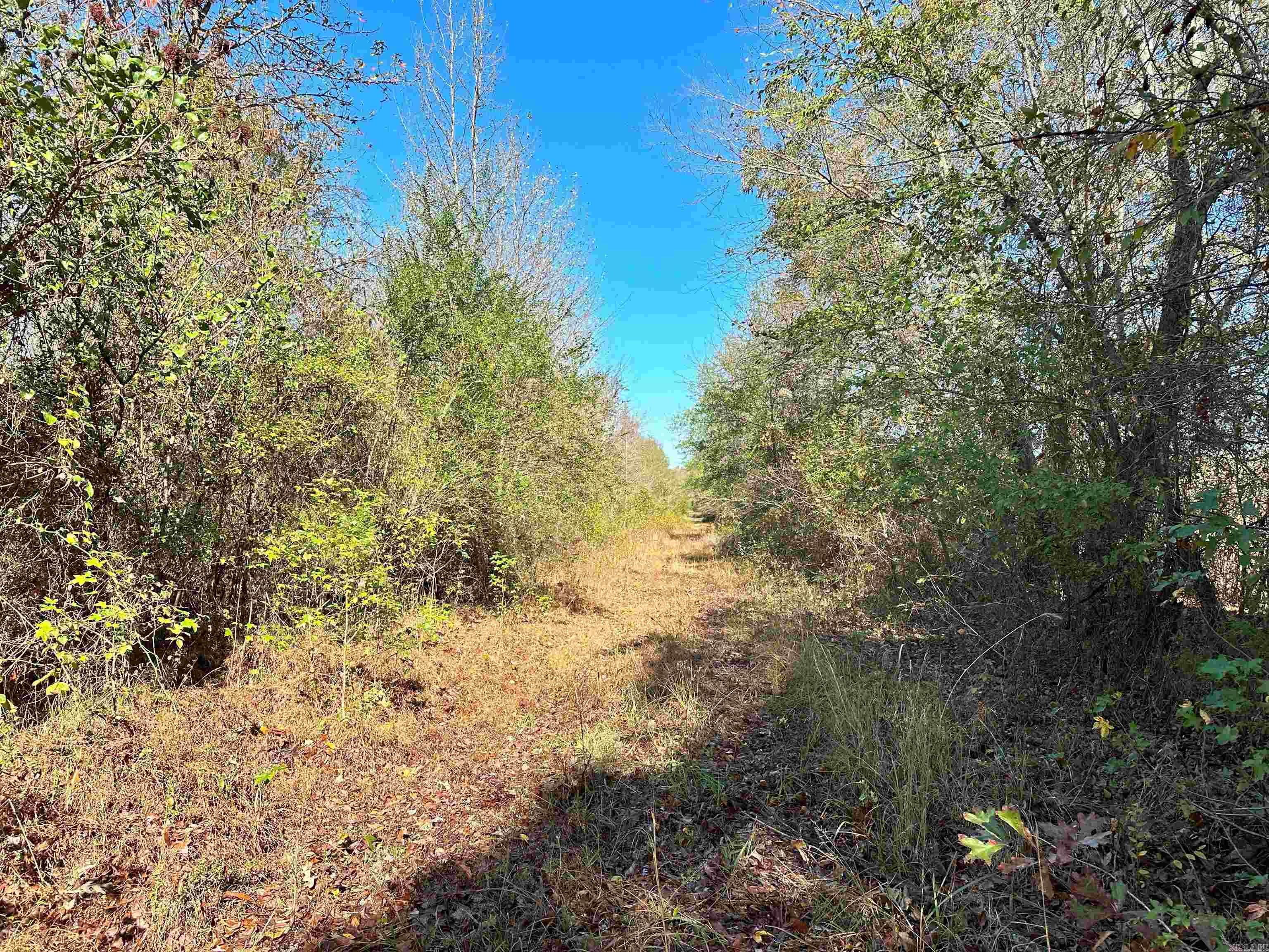 0 Peaceful Valley  Dover, AR