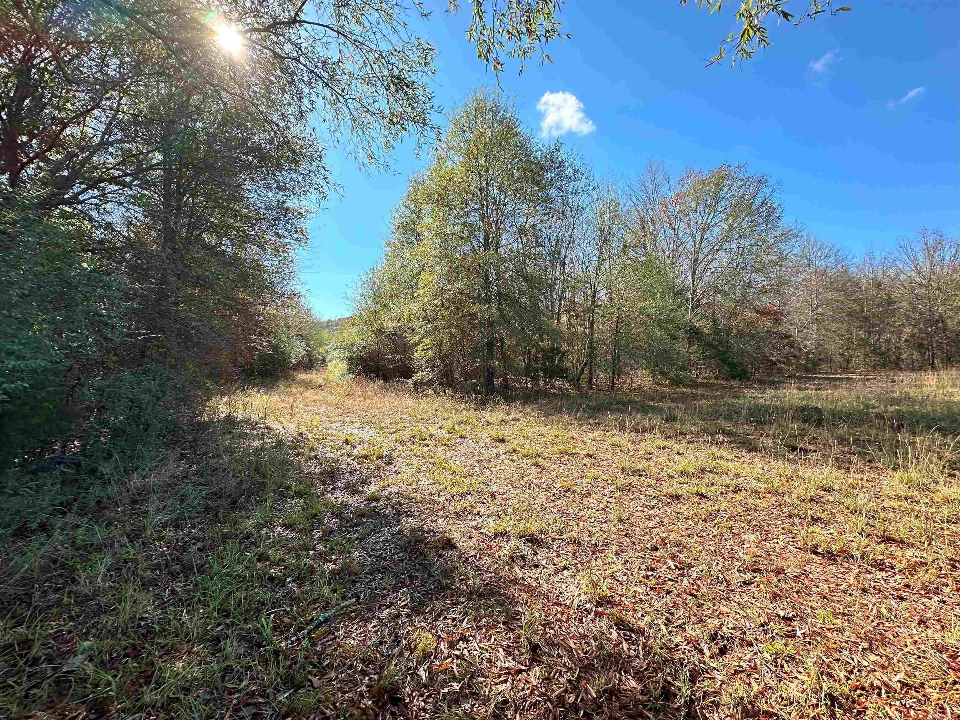 0 Peaceful Valley  Dover, AR