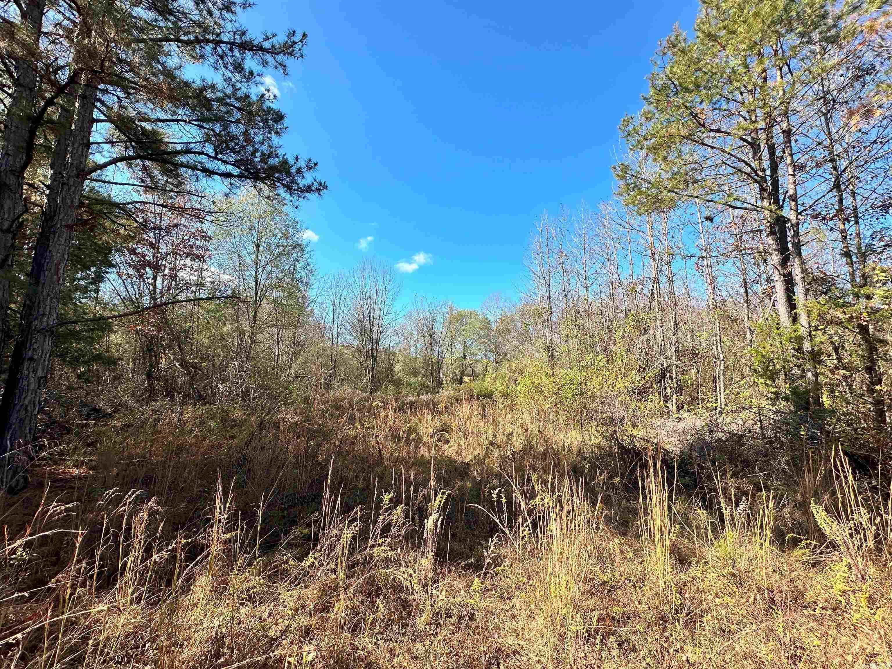 0 Peaceful Valley  Dover, AR