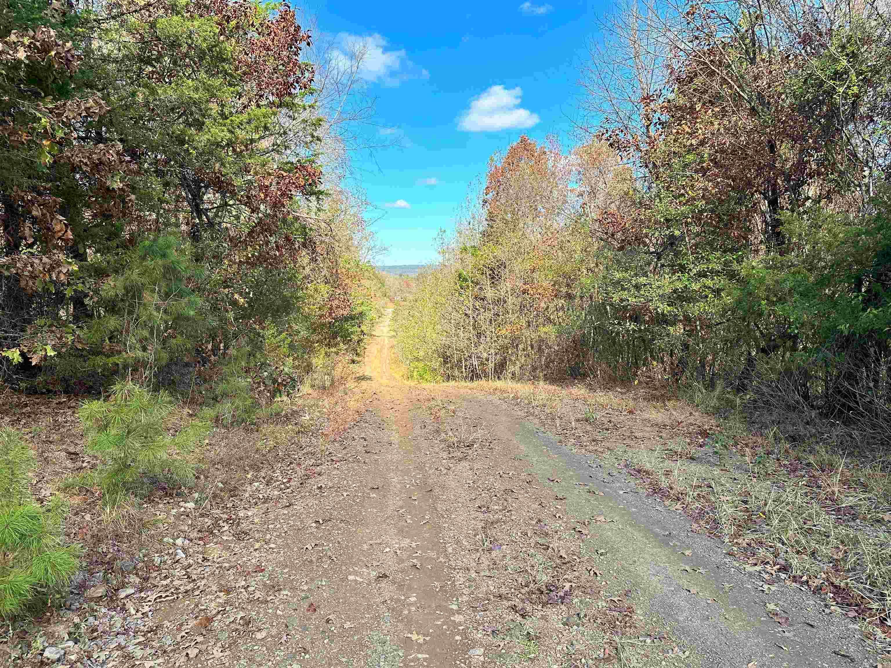 0 Peaceful Valley  Dover, AR