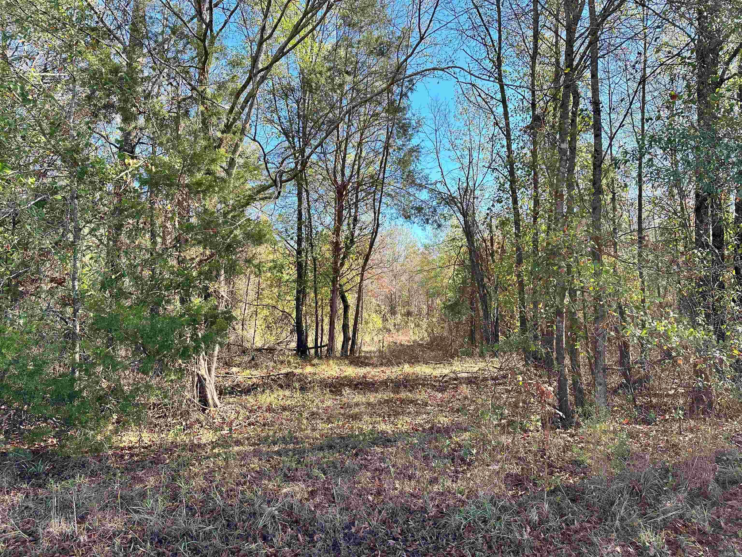 0 Peaceful Valley  Dover, AR