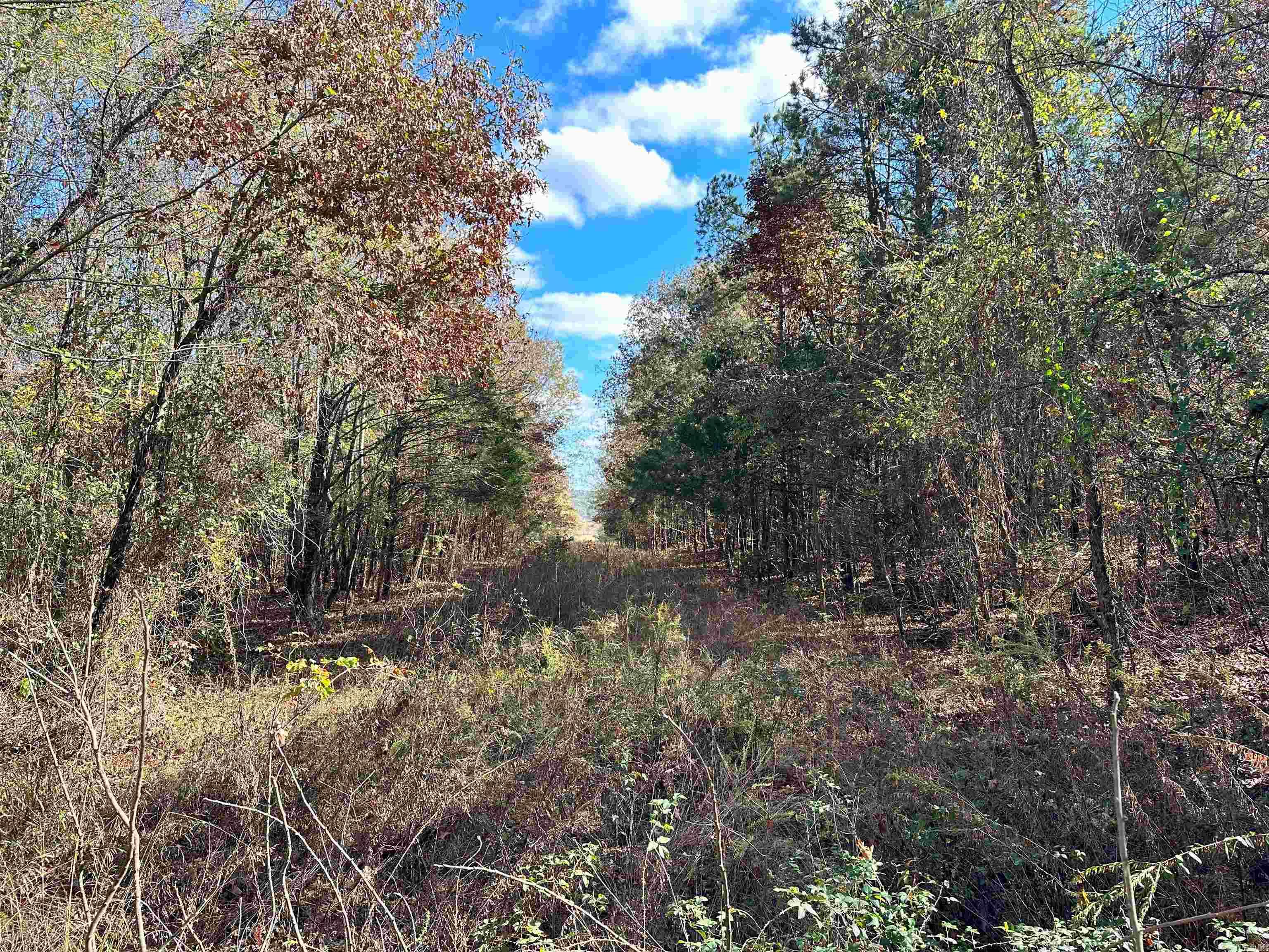 0 Peaceful Valley  Dover, AR