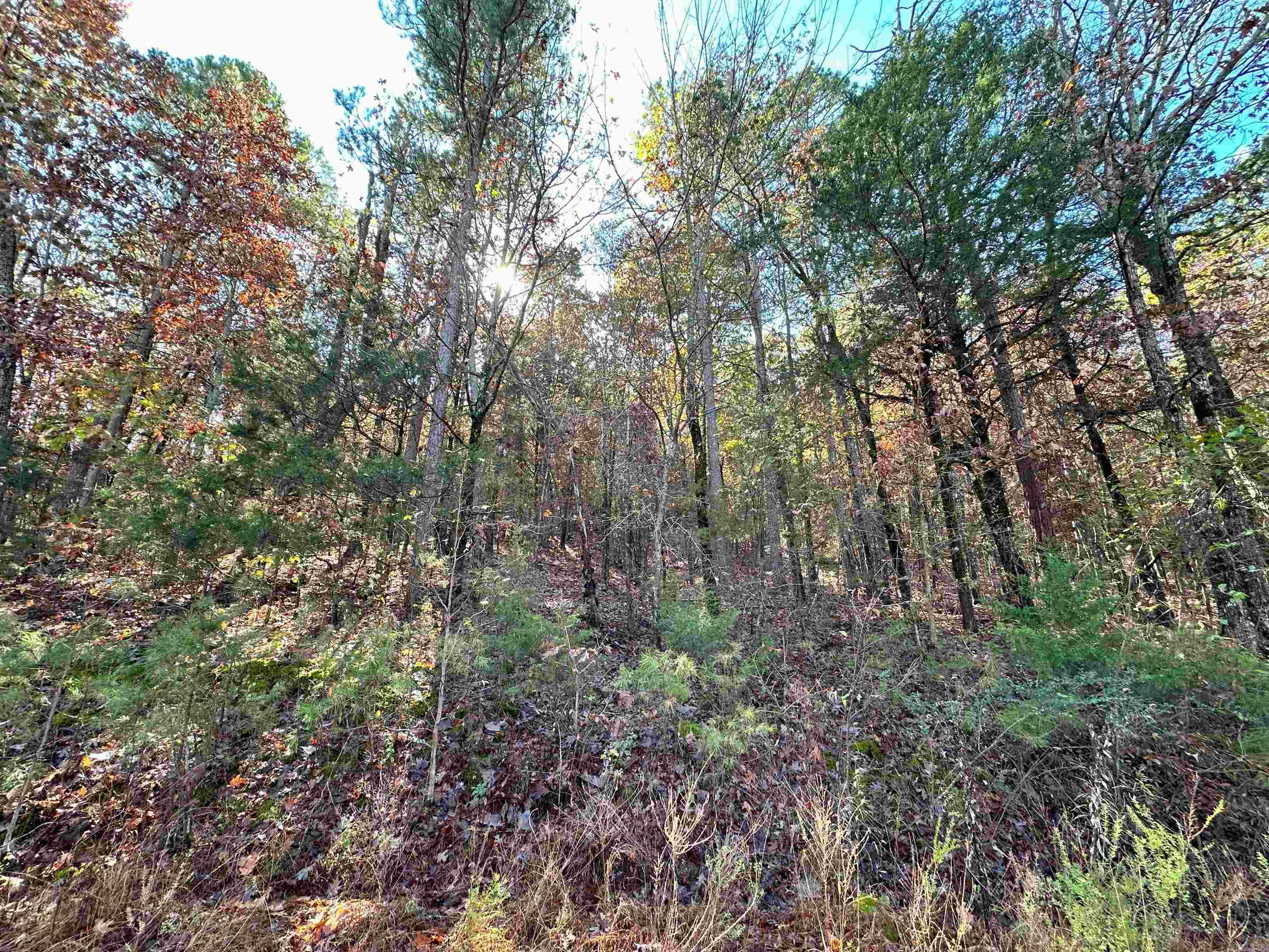 0 Peaceful Valley  Dover, AR