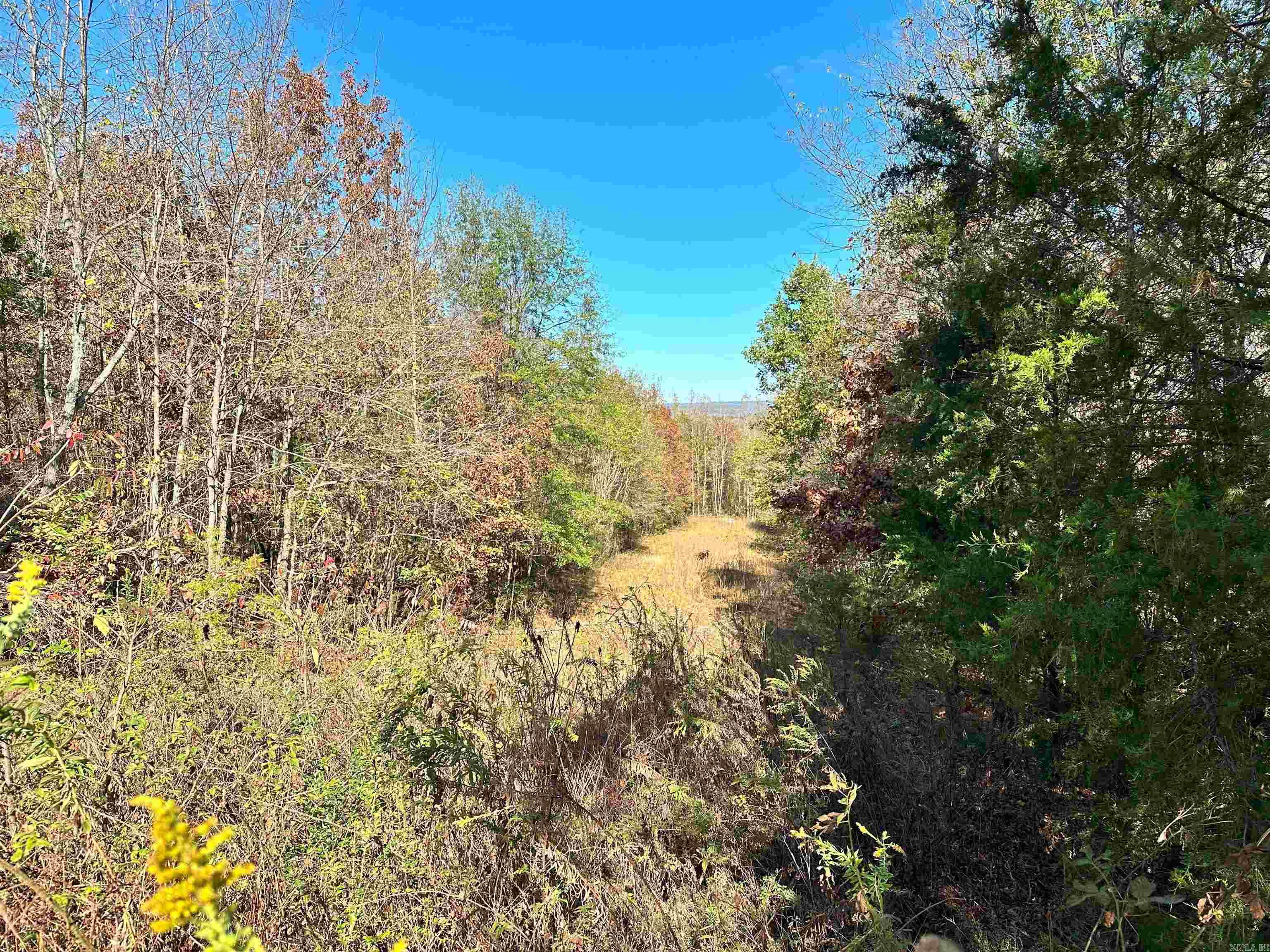 0 Peaceful Valley  Dover, AR