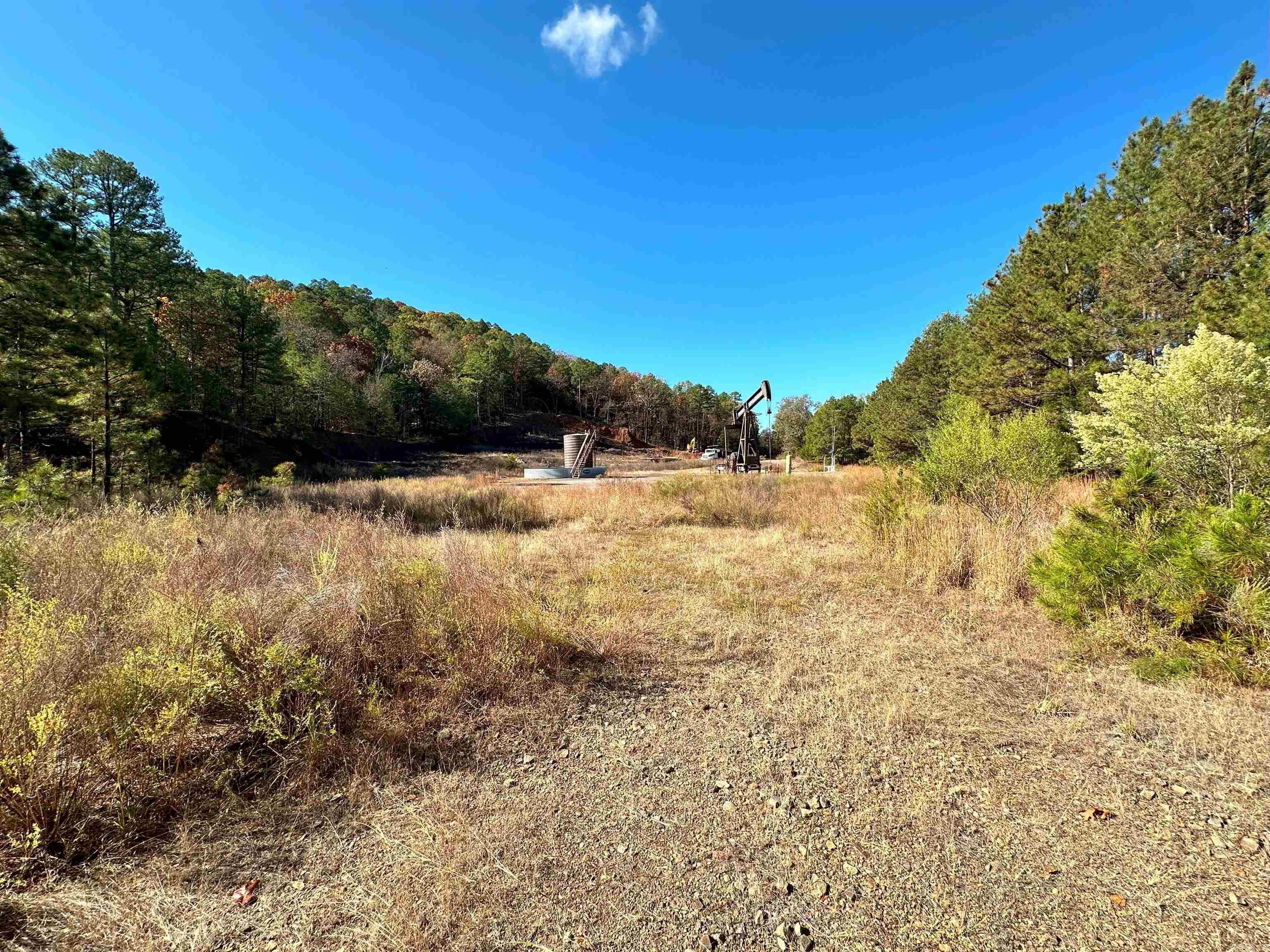 0 Peaceful Valley  Dover, AR