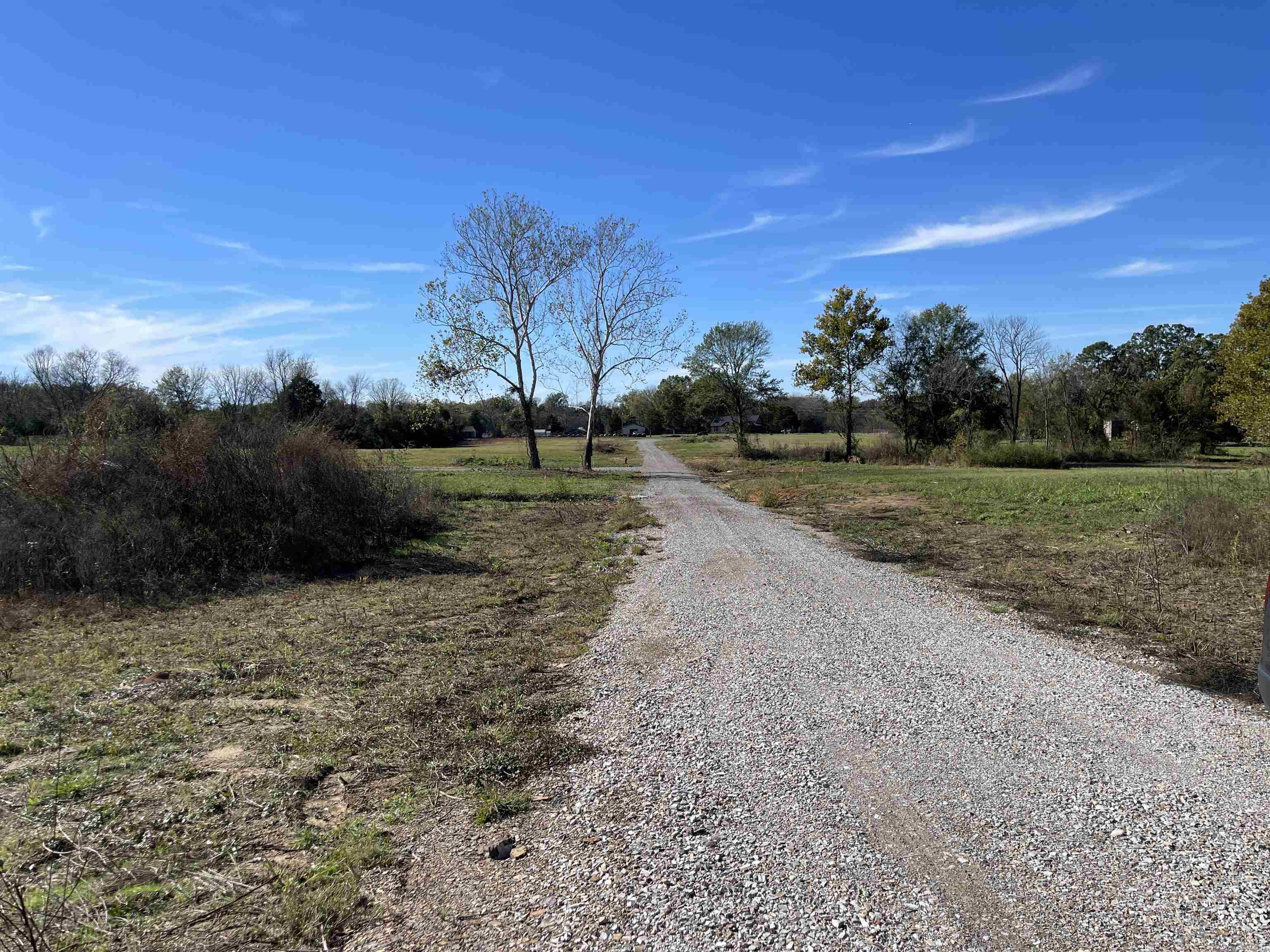 490 Arkansas Highway 113 LOT 15 Bigelow, AR