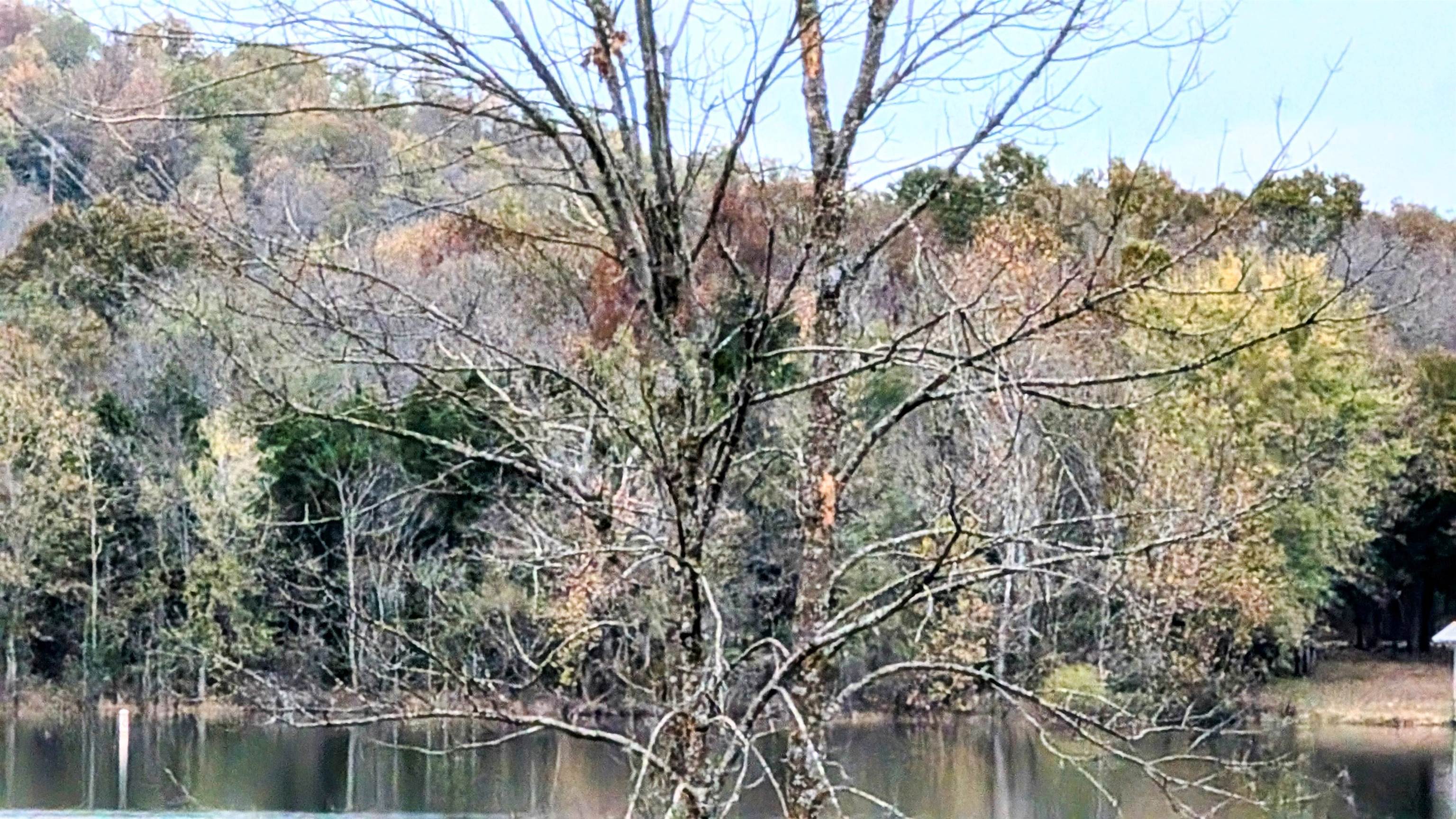 1805 Fox  Horseshoe Bend, AR