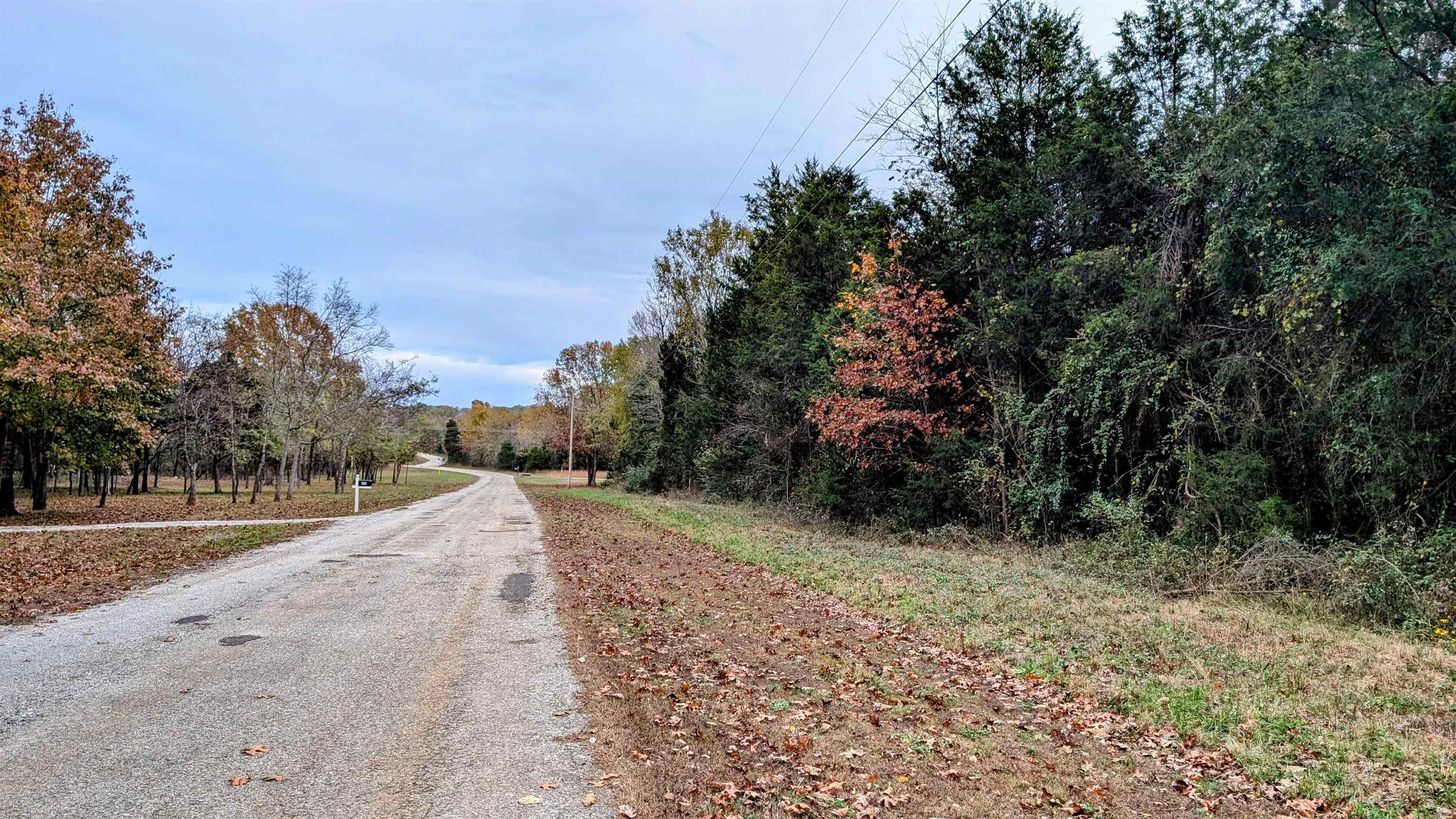 1805 Fox  Horseshoe Bend, AR