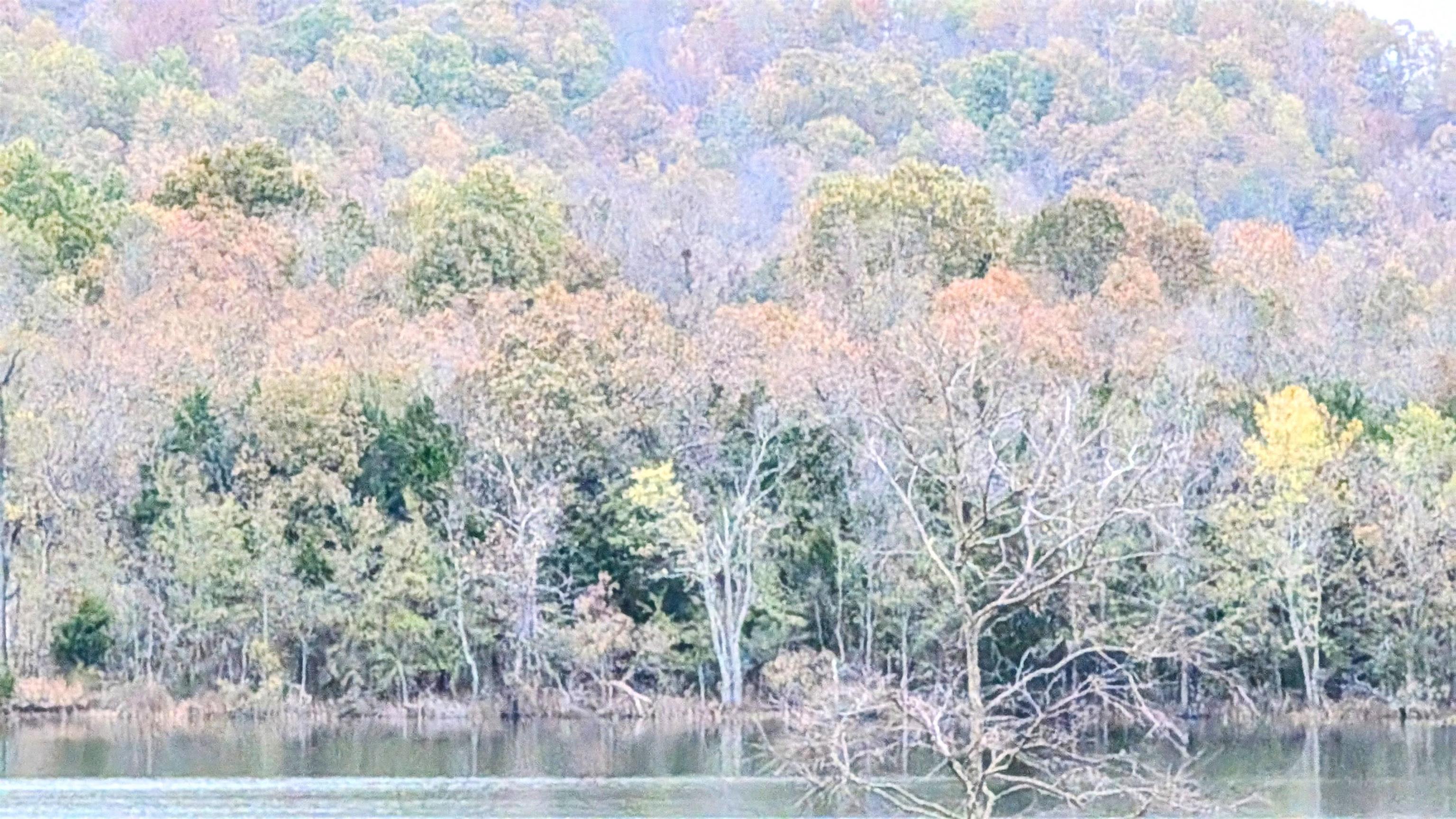 1805 Fox  Horseshoe Bend, AR