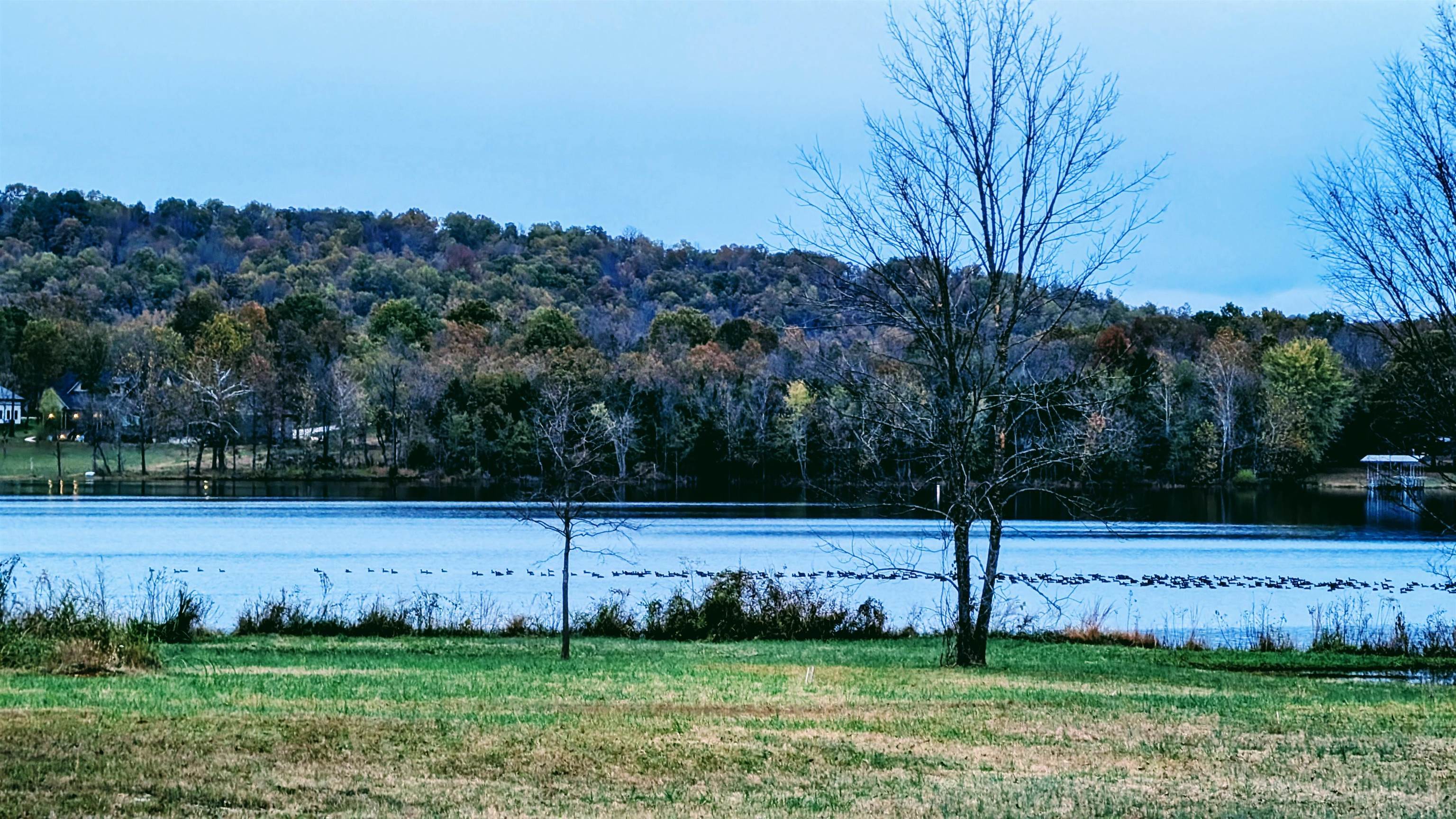 1805 Fox  Horseshoe Bend, AR