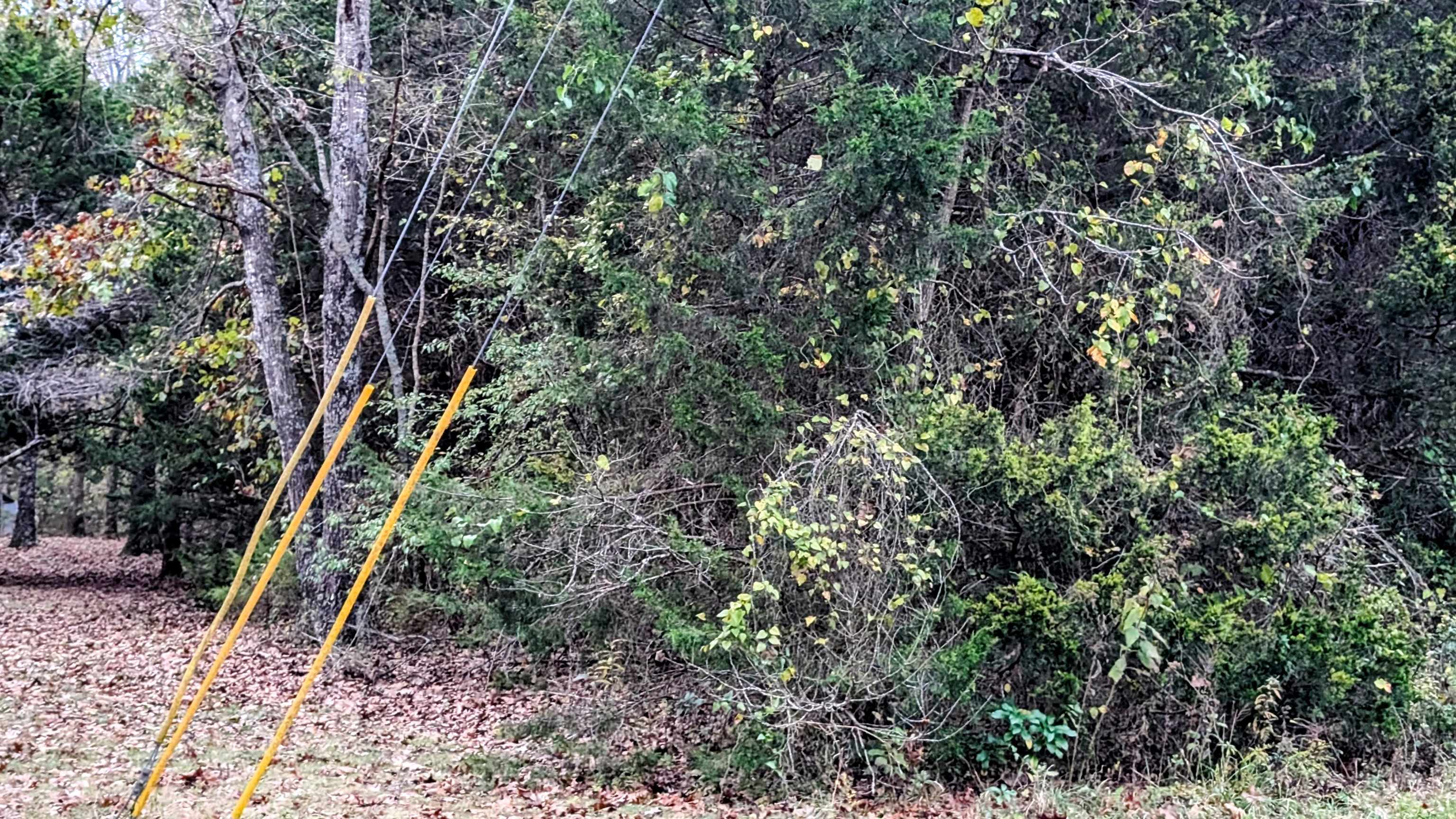 1805 Fox  Horseshoe Bend, AR