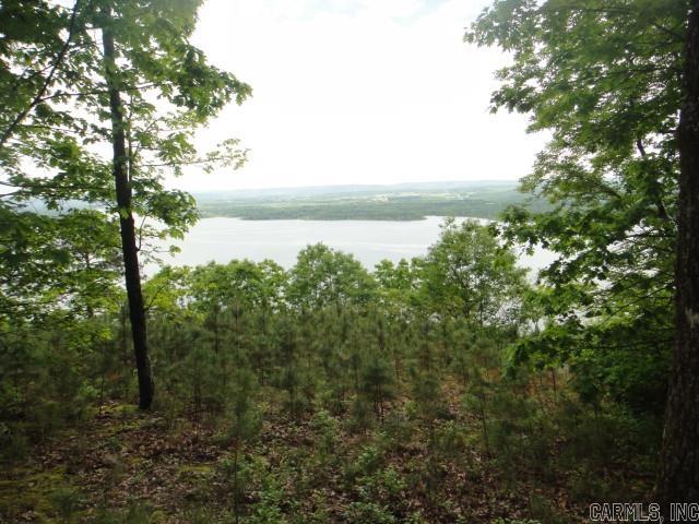 85 Bluff View Drive Quitman, AR 72131