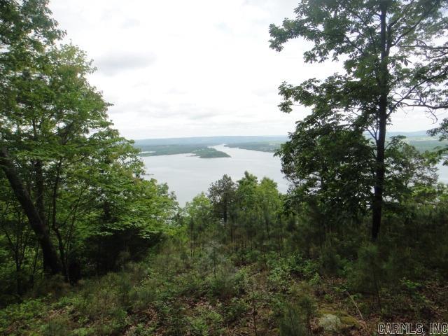 85 Bluff View Drive Quitman, AR 72131