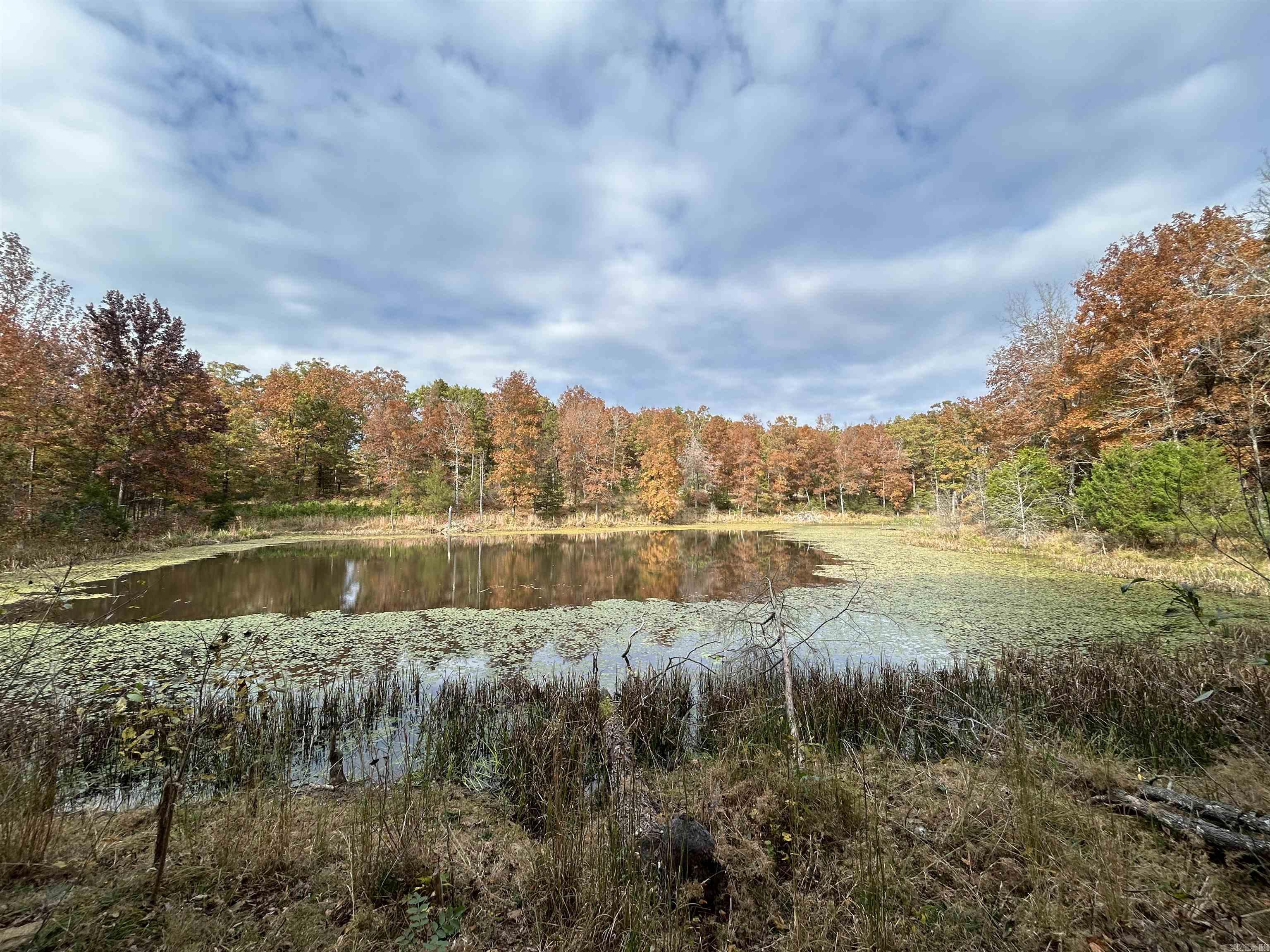 989 N Bayou  Concord, AR