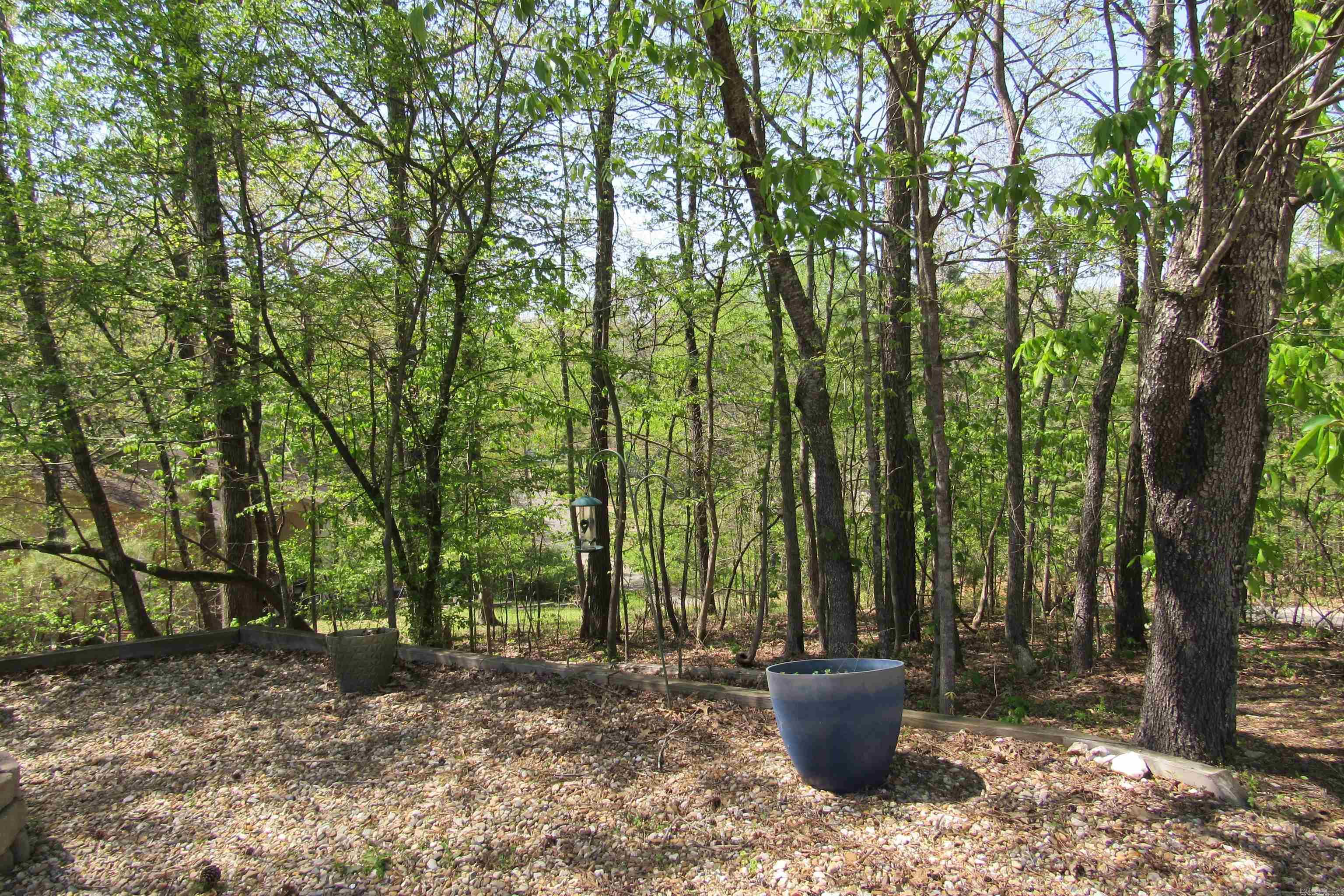 220 Chadwood  Hot Springs National Park, AR