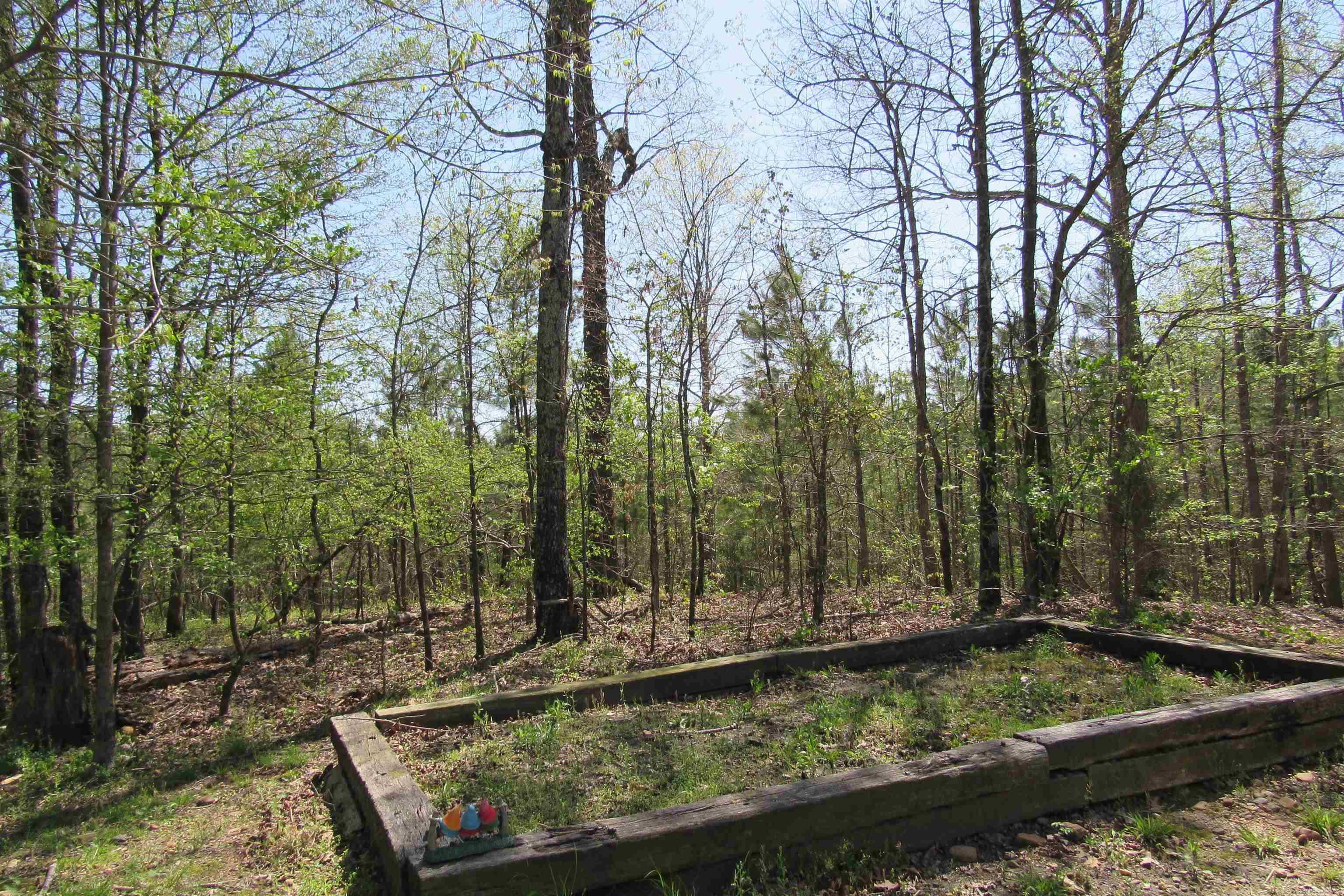 220 Chadwood  Hot Springs National Park, AR