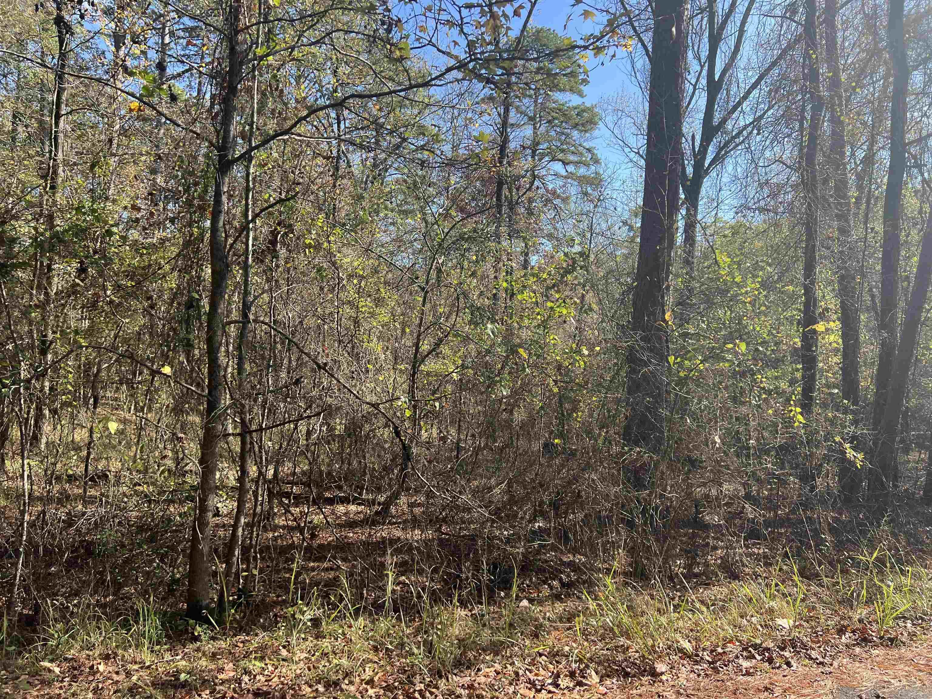 28 Zafiro  Hot Springs Village, AR