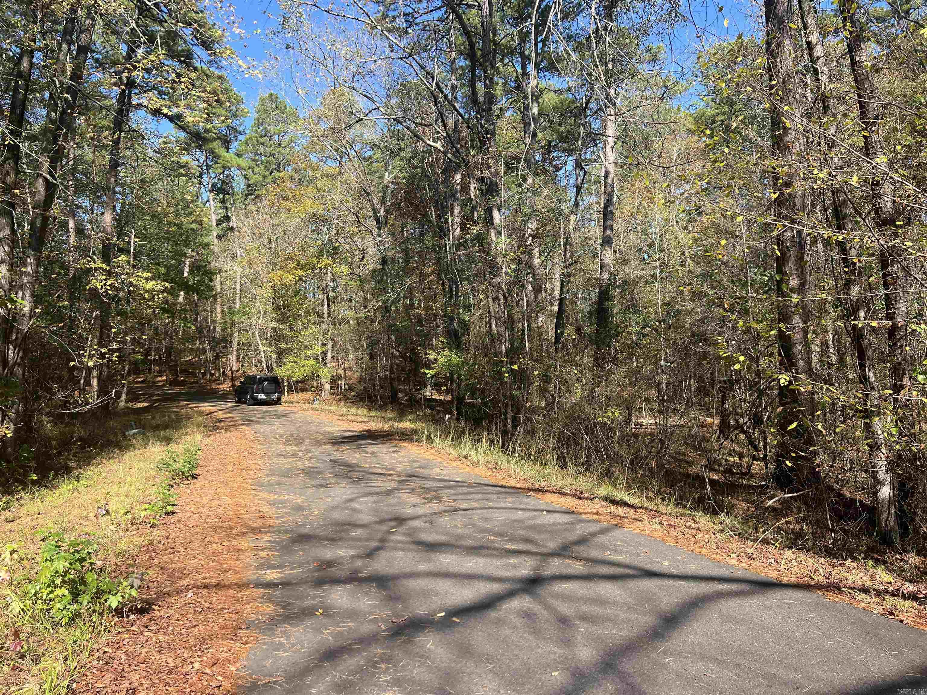 28 Zafiro  Hot Springs Village, AR