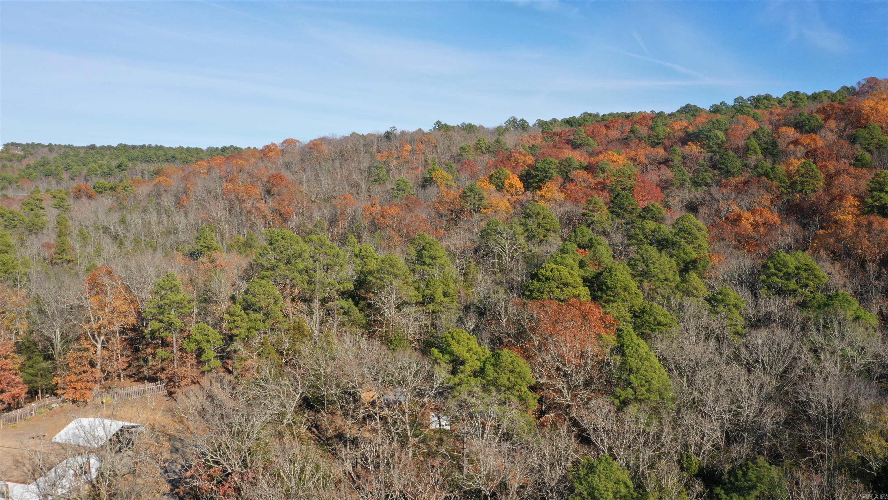 Lot 2 Old Military Rd  Conway, AR