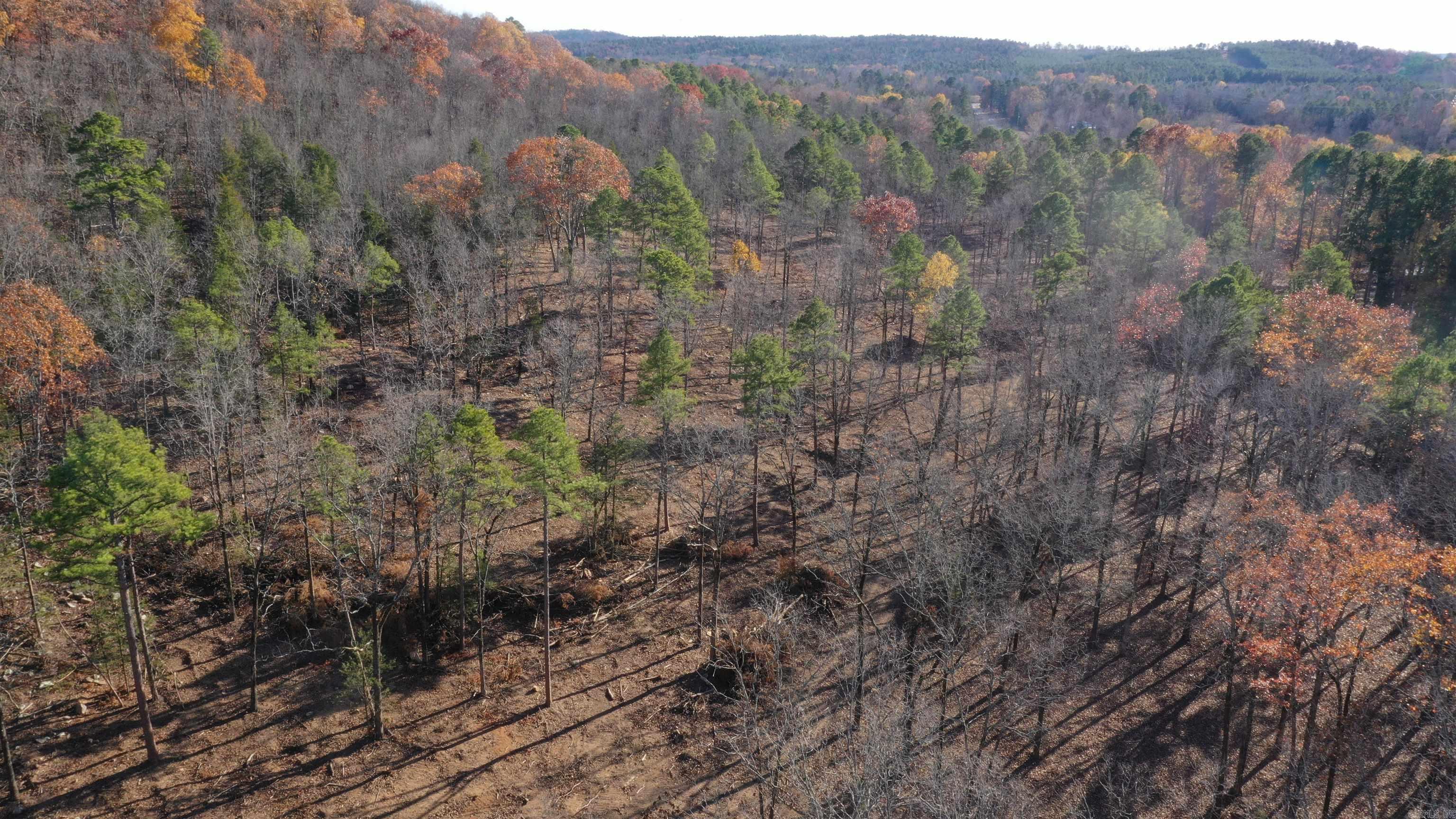 Lot 2 Old Military Rd  Conway, AR