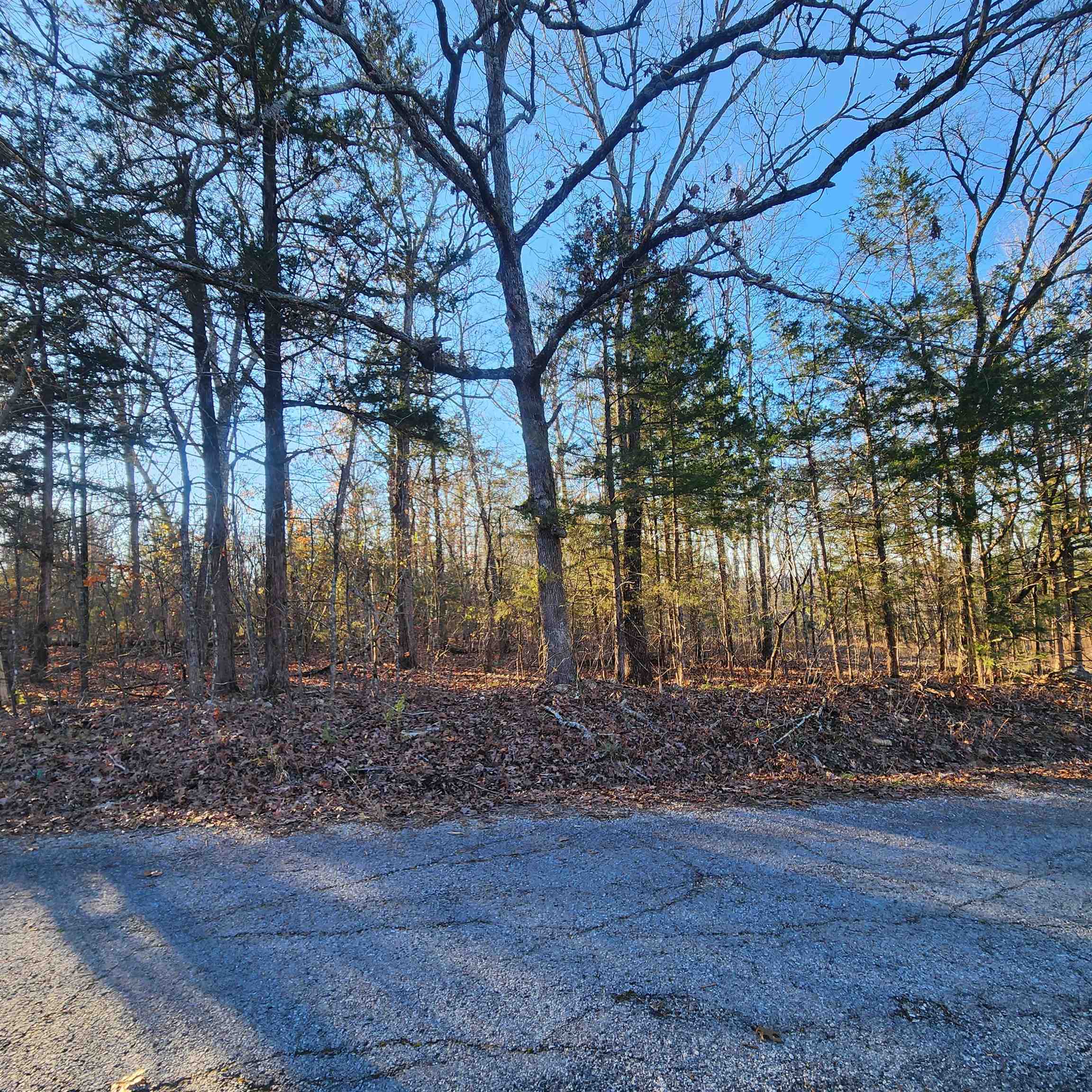 1505 Riverview  Horseshoe Bend, AR