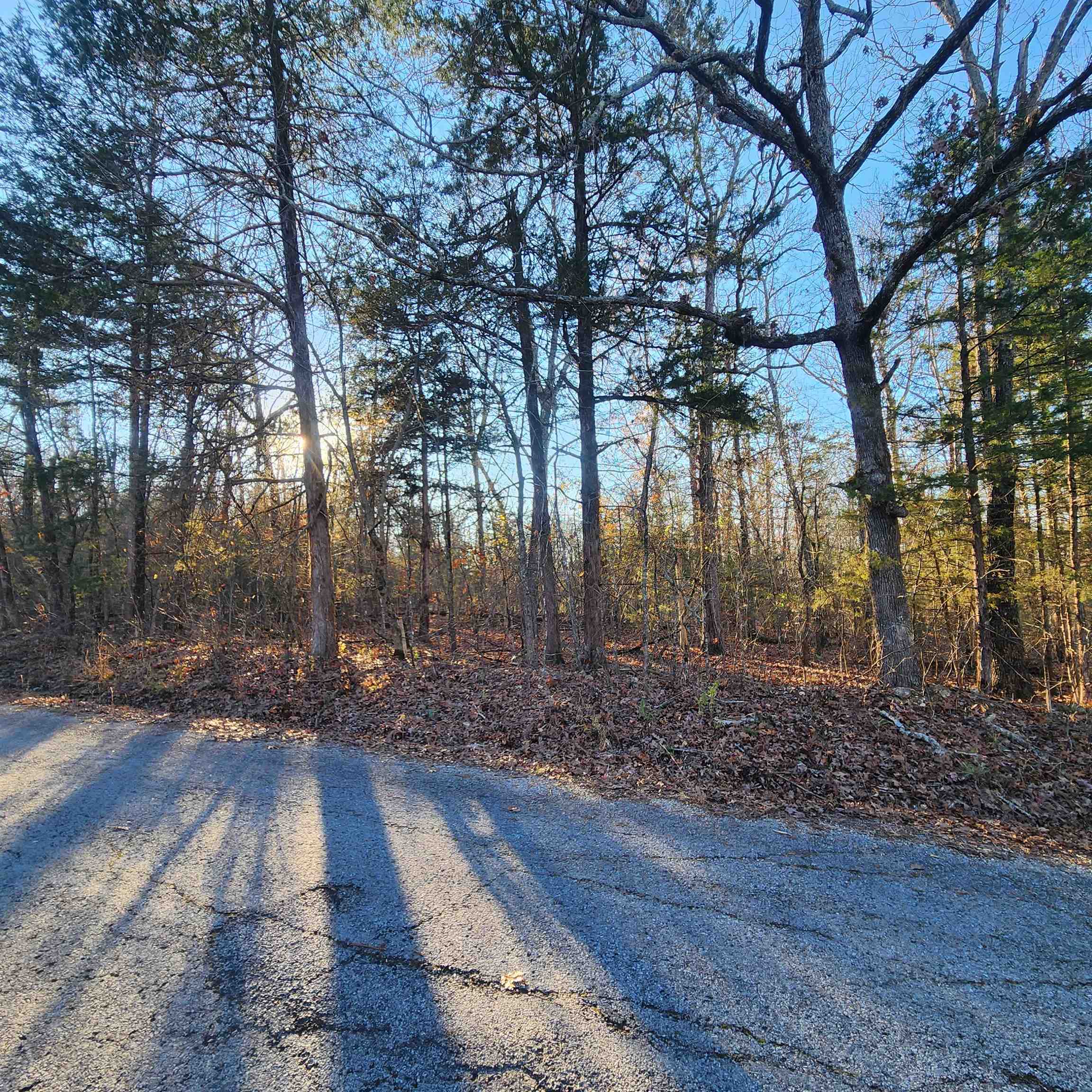 1505 Riverview  Horseshoe Bend, AR