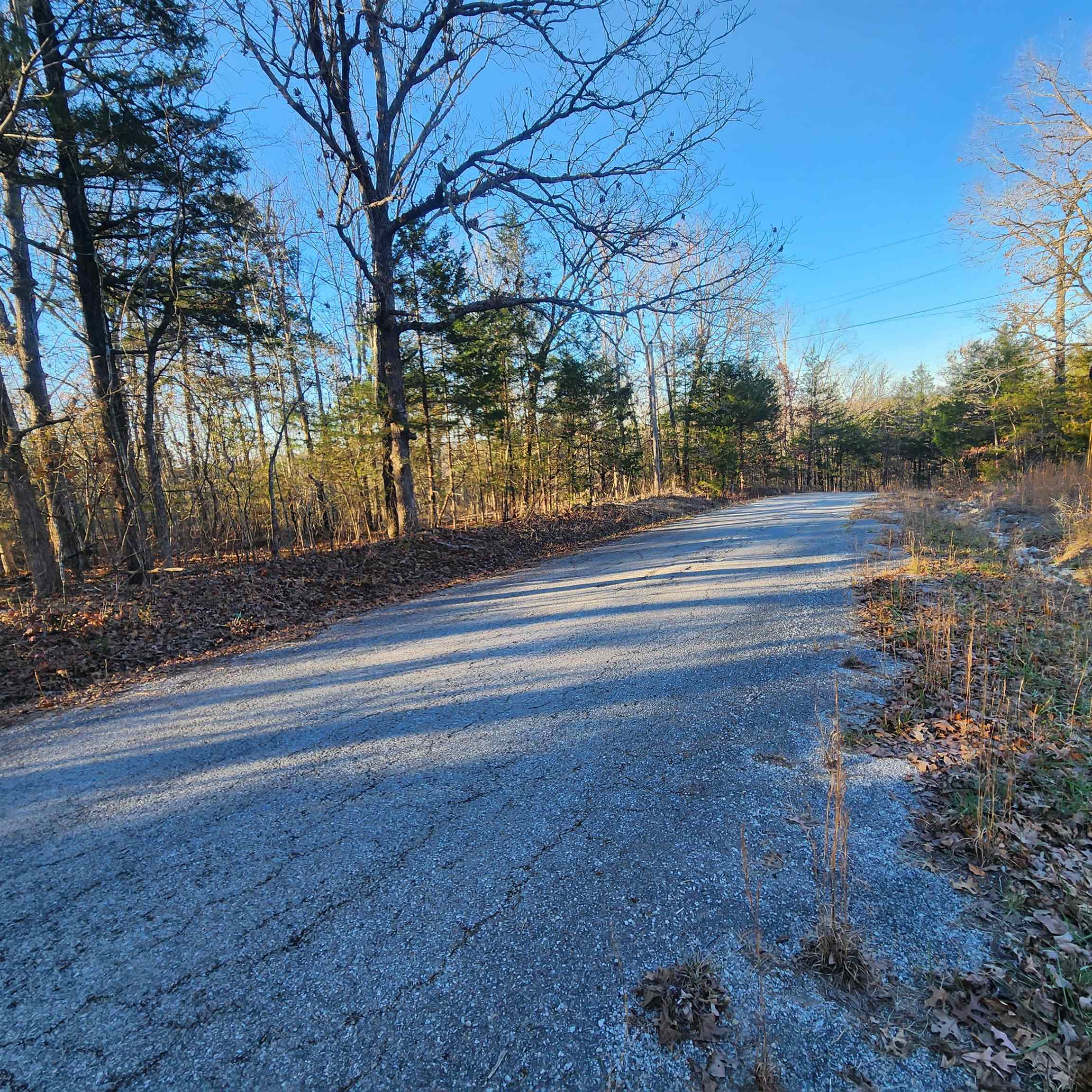 1505 Riverview  Horseshoe Bend, AR