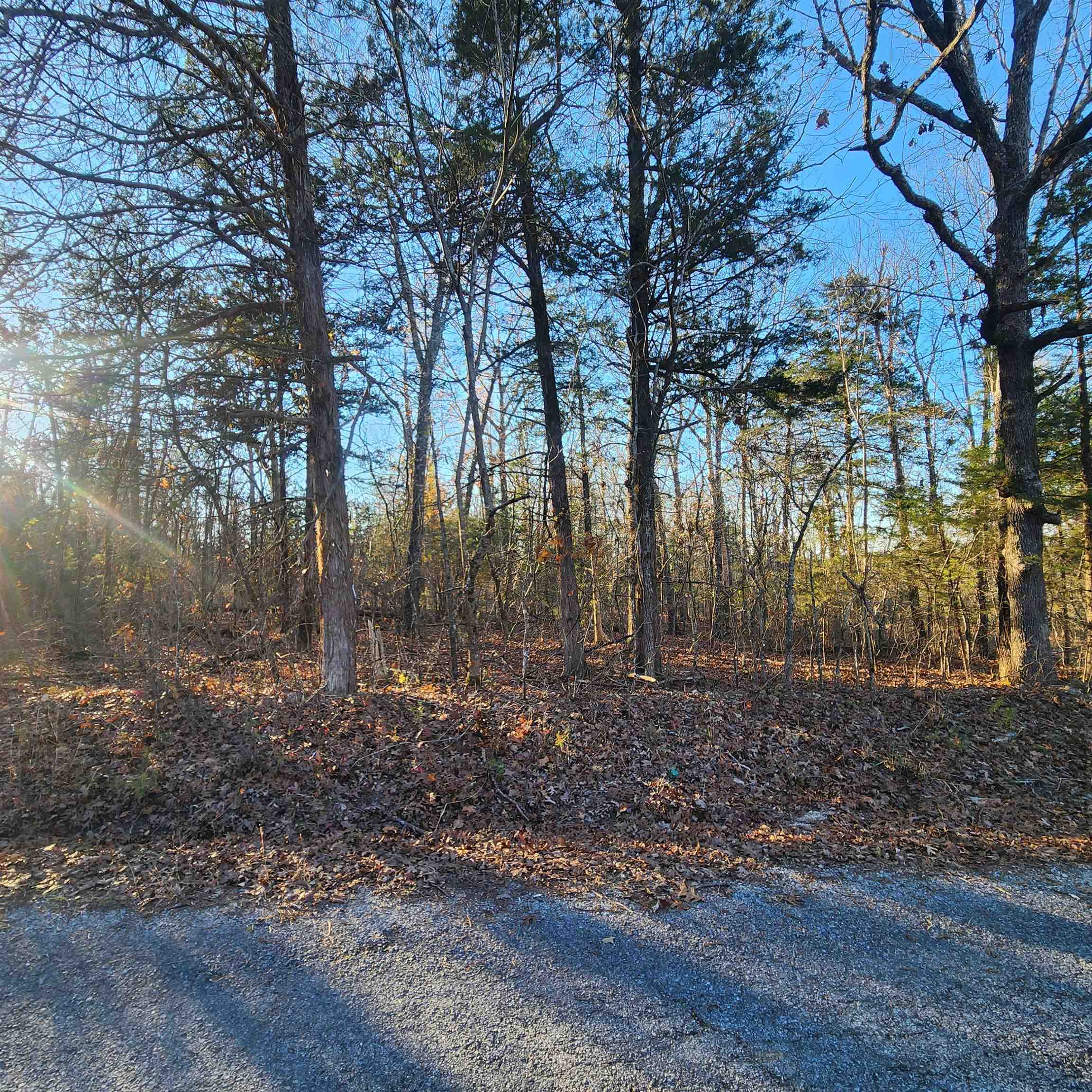 1505 Riverview  Horseshoe Bend, AR