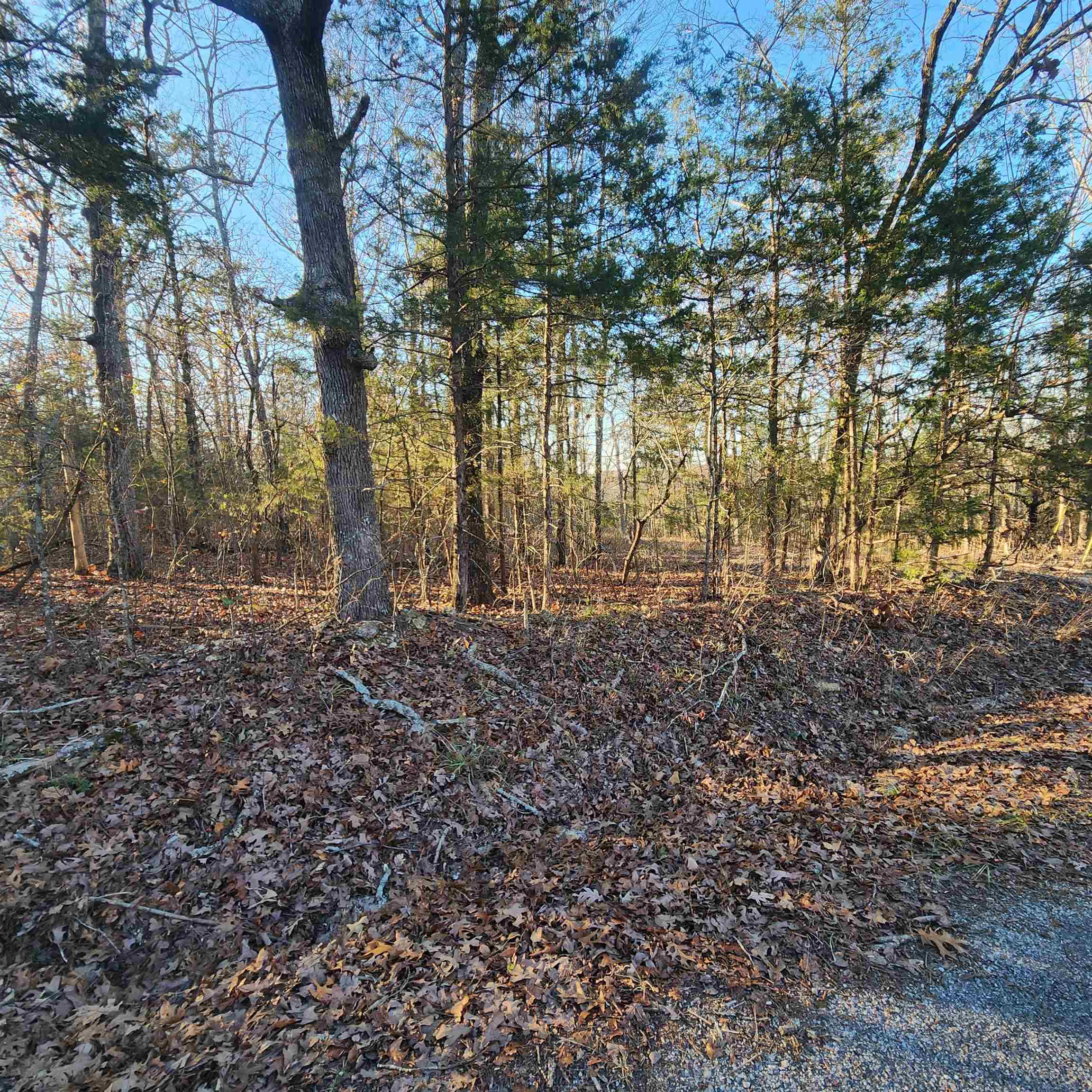 1505 Riverview  Horseshoe Bend, AR