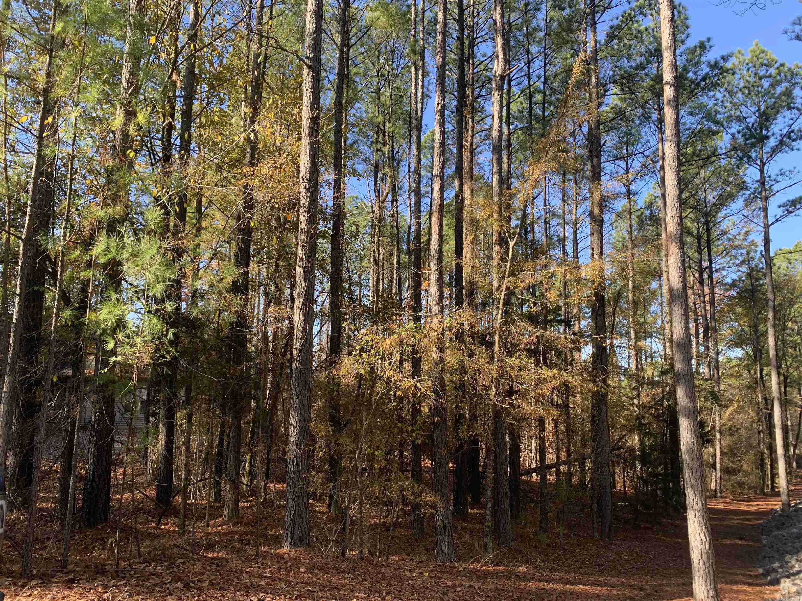 25 Victoria  Hot Springs Village, AR