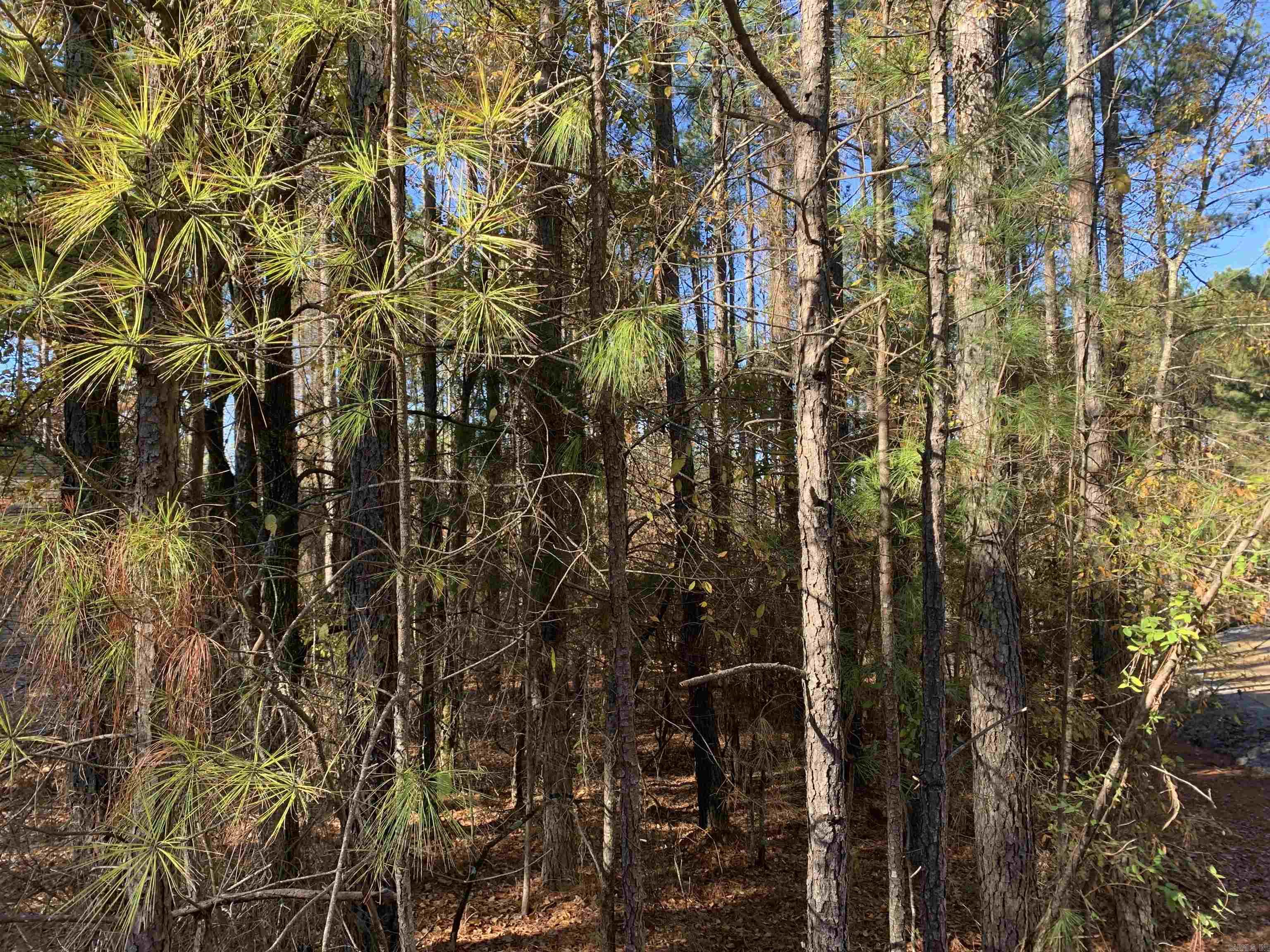 25 Victoria  Hot Springs Village, AR