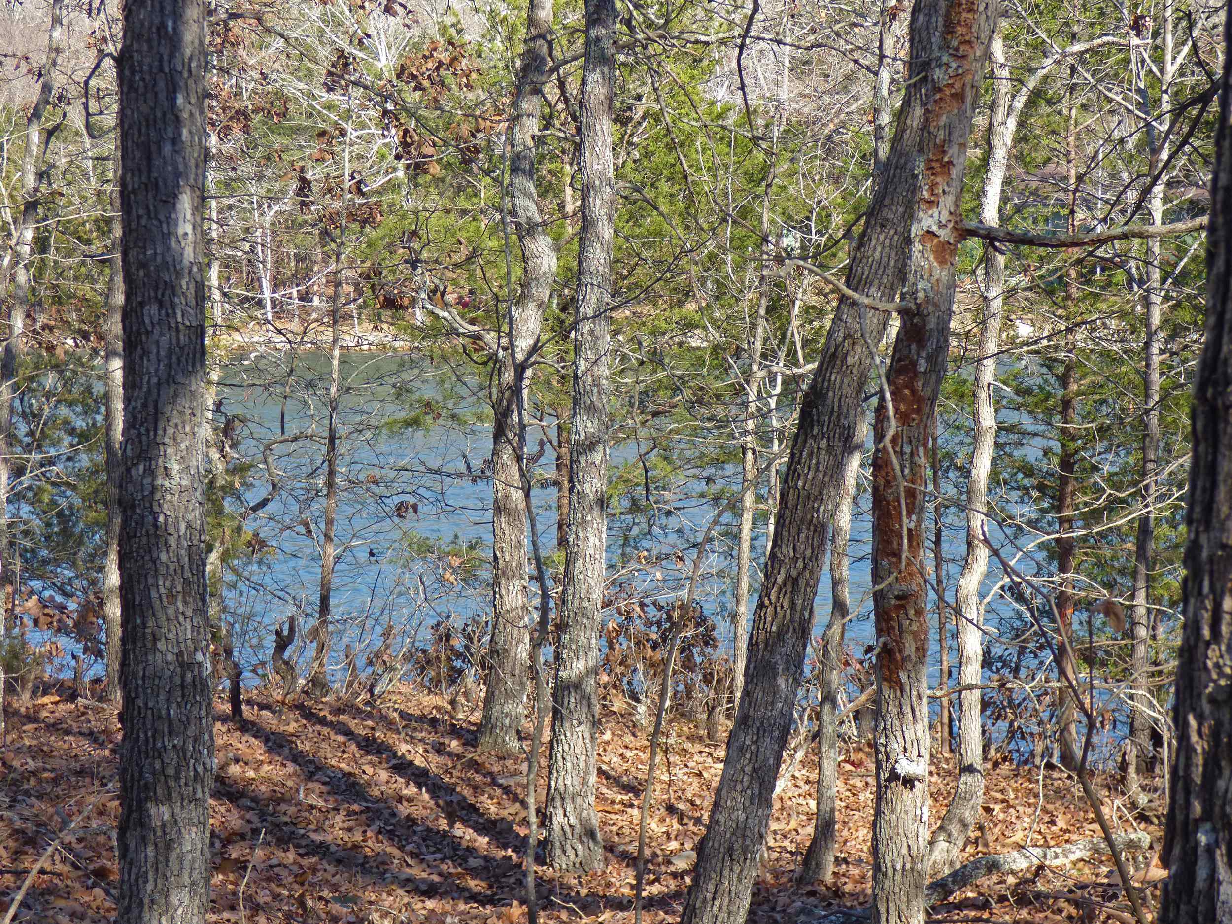 52 Isleta  Cherokee Village, AR