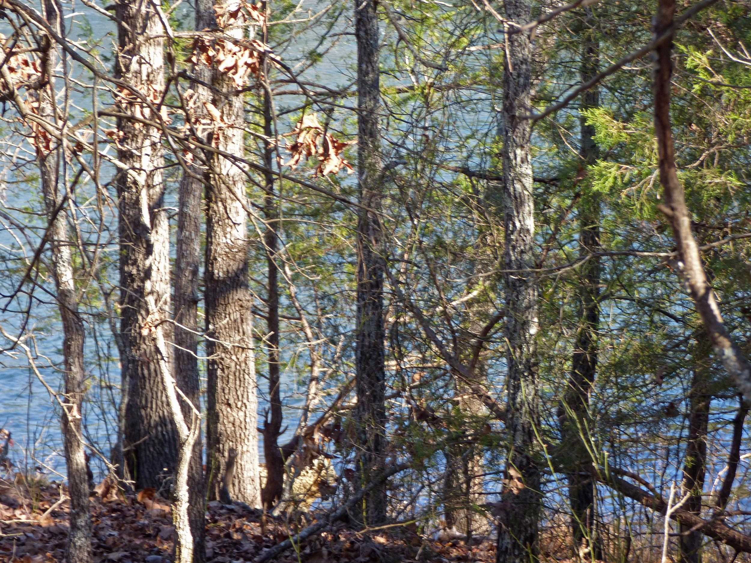 52 Isleta  Cherokee Village, AR