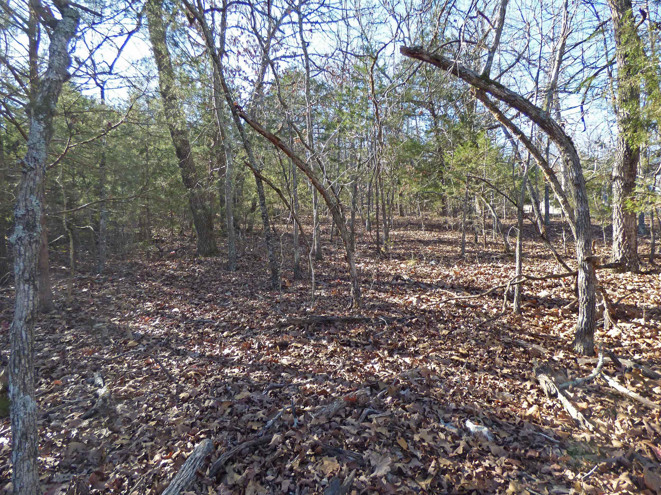 52 Isleta  Cherokee Village, AR