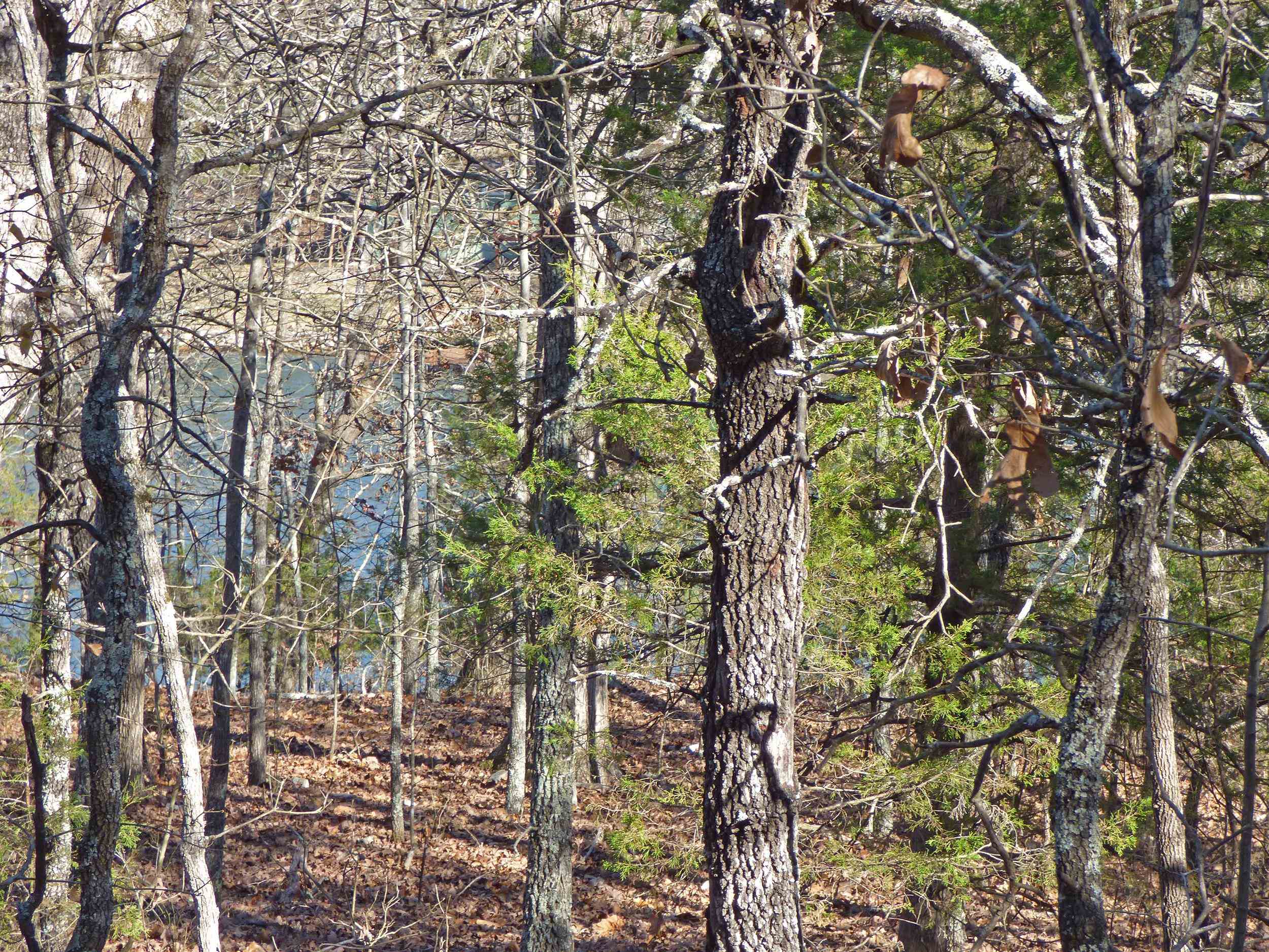 52 Isleta  Cherokee Village, AR