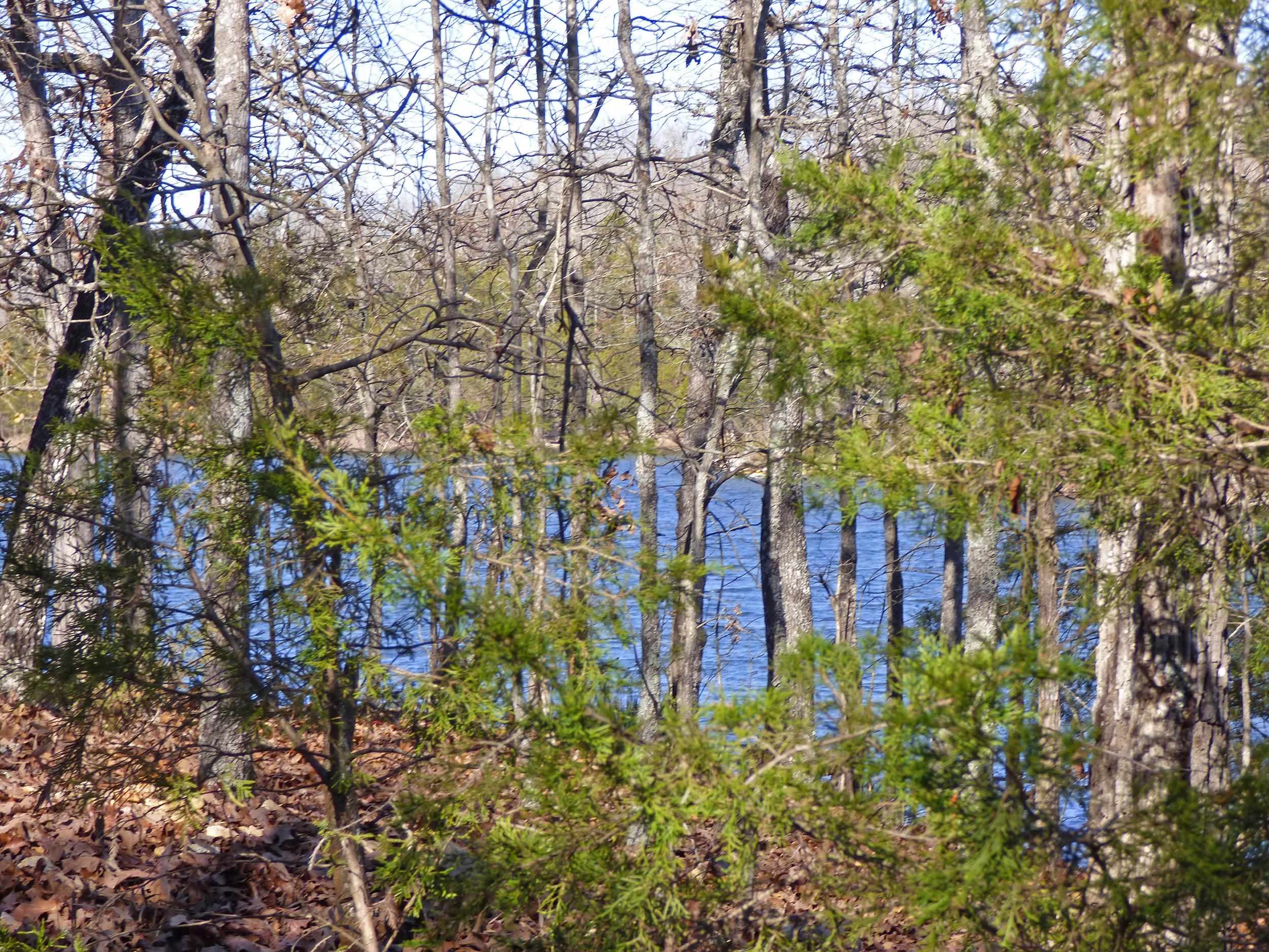 52 Isleta  Cherokee Village, AR