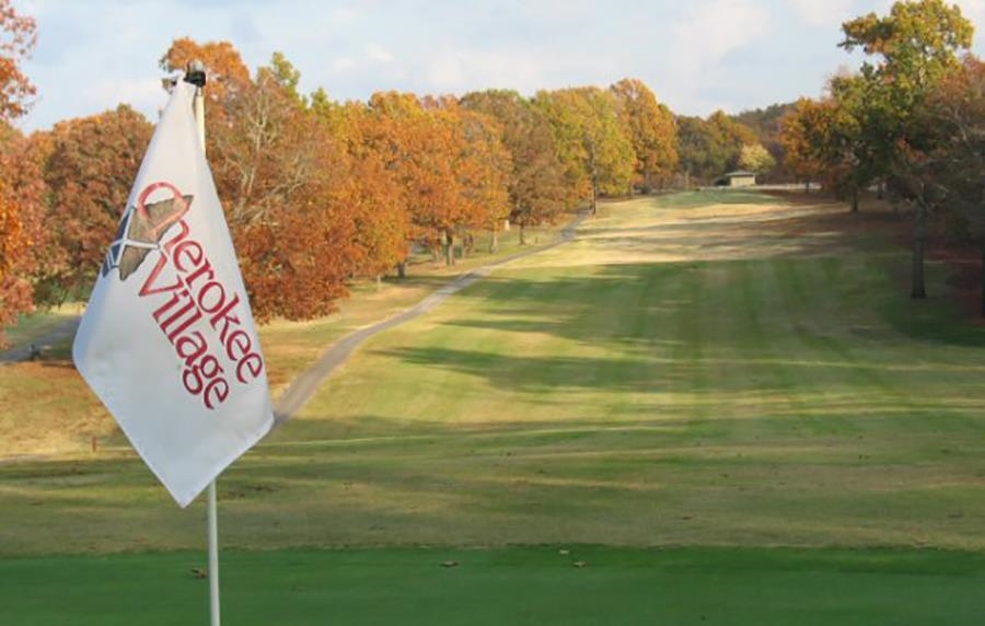  Alamo  Cherokee Village, AR
