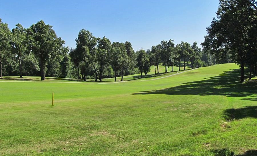  Alamo  Cherokee Village, AR