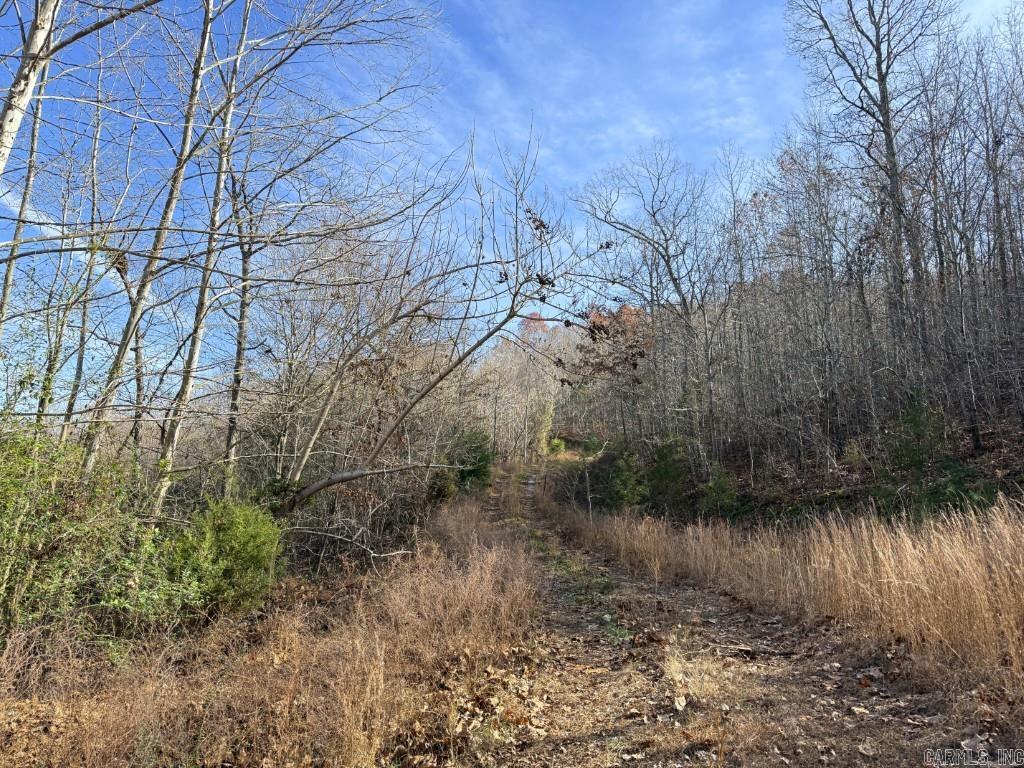 284 Stark Springs  Batesville, AR