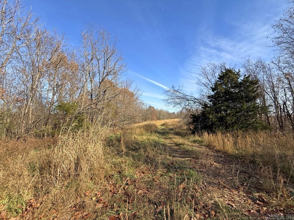 284 Stark Springs  Batesville, AR