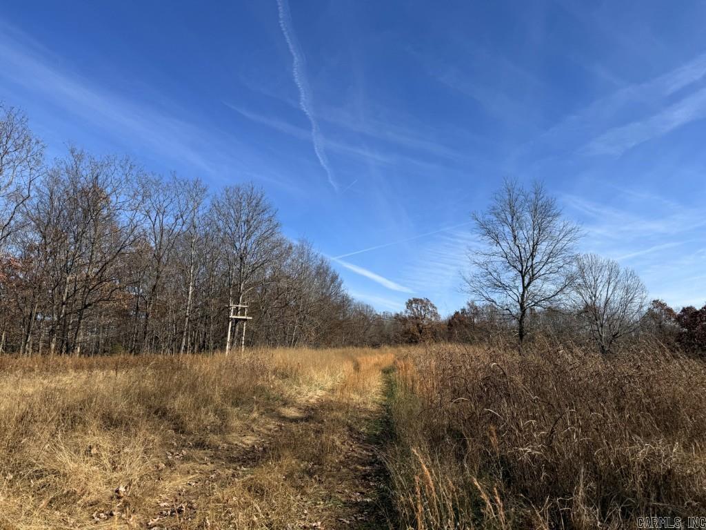 284 Stark Springs  Batesville, AR