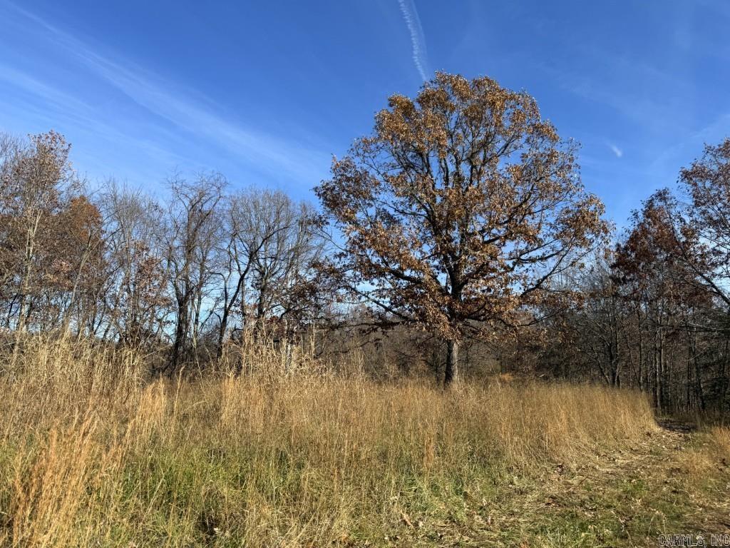 284 Stark Springs  Batesville, AR