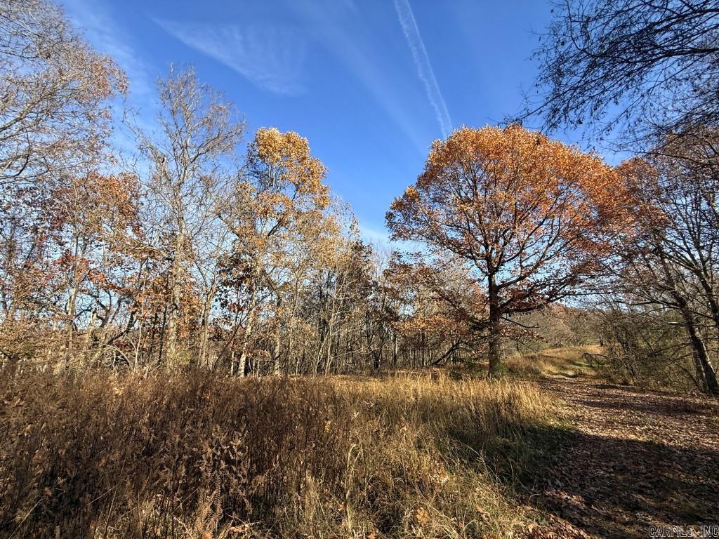 284 Stark Springs  Batesville, AR