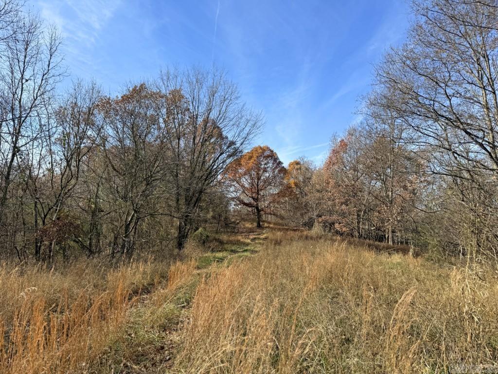 284 Stark Springs  Batesville, AR