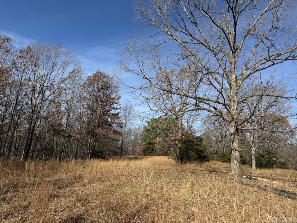 284 Stark Springs  Batesville, AR